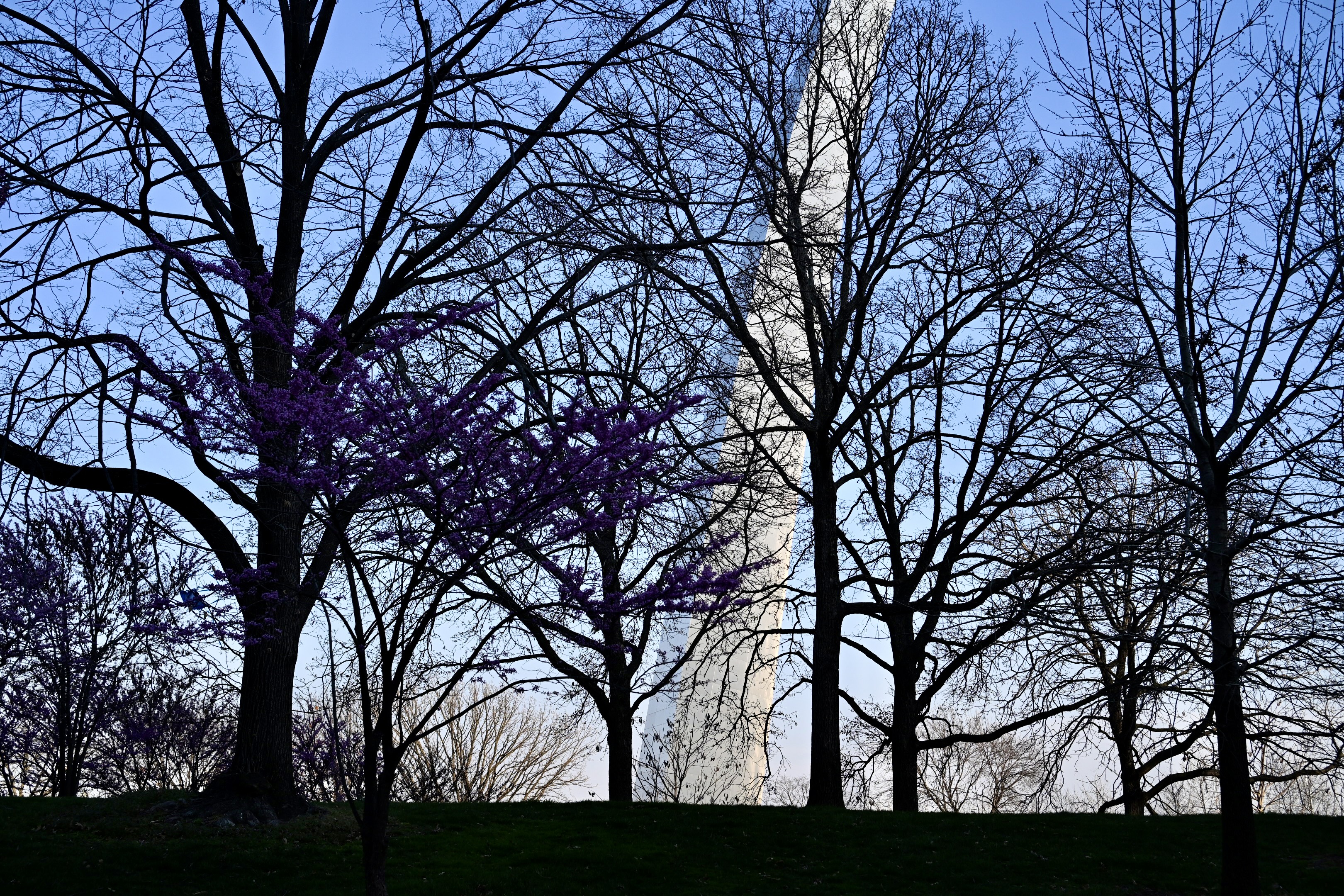 This was spurred by running into a photographer named Judy Walgren. Judy is a friend.  Society of Photographic Education.