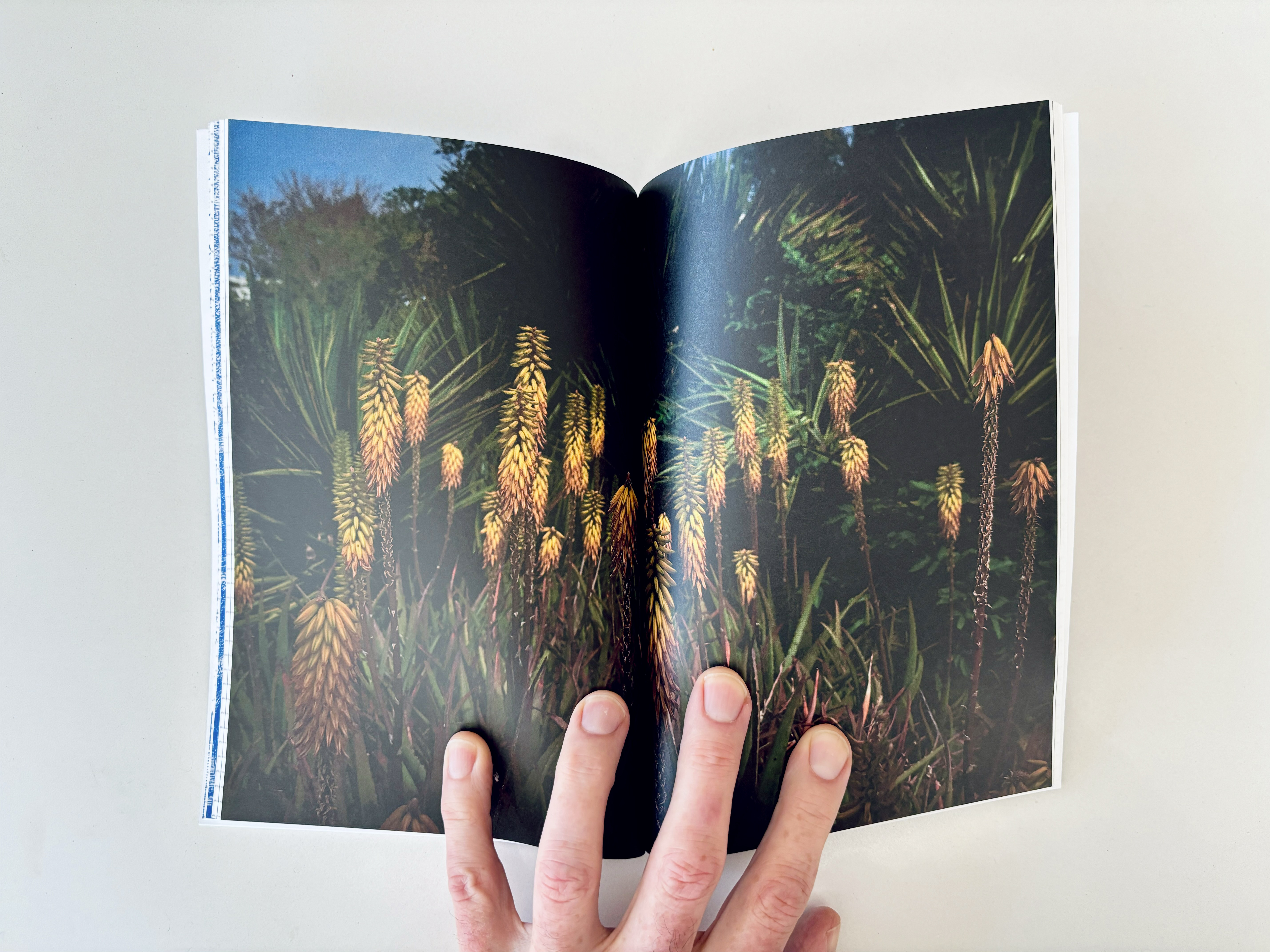 Enter "Garden of Eden," Blurb notebook, by Brant Slomovic, an old friend from my days of traipsing Canada as "The Blurb Guy."