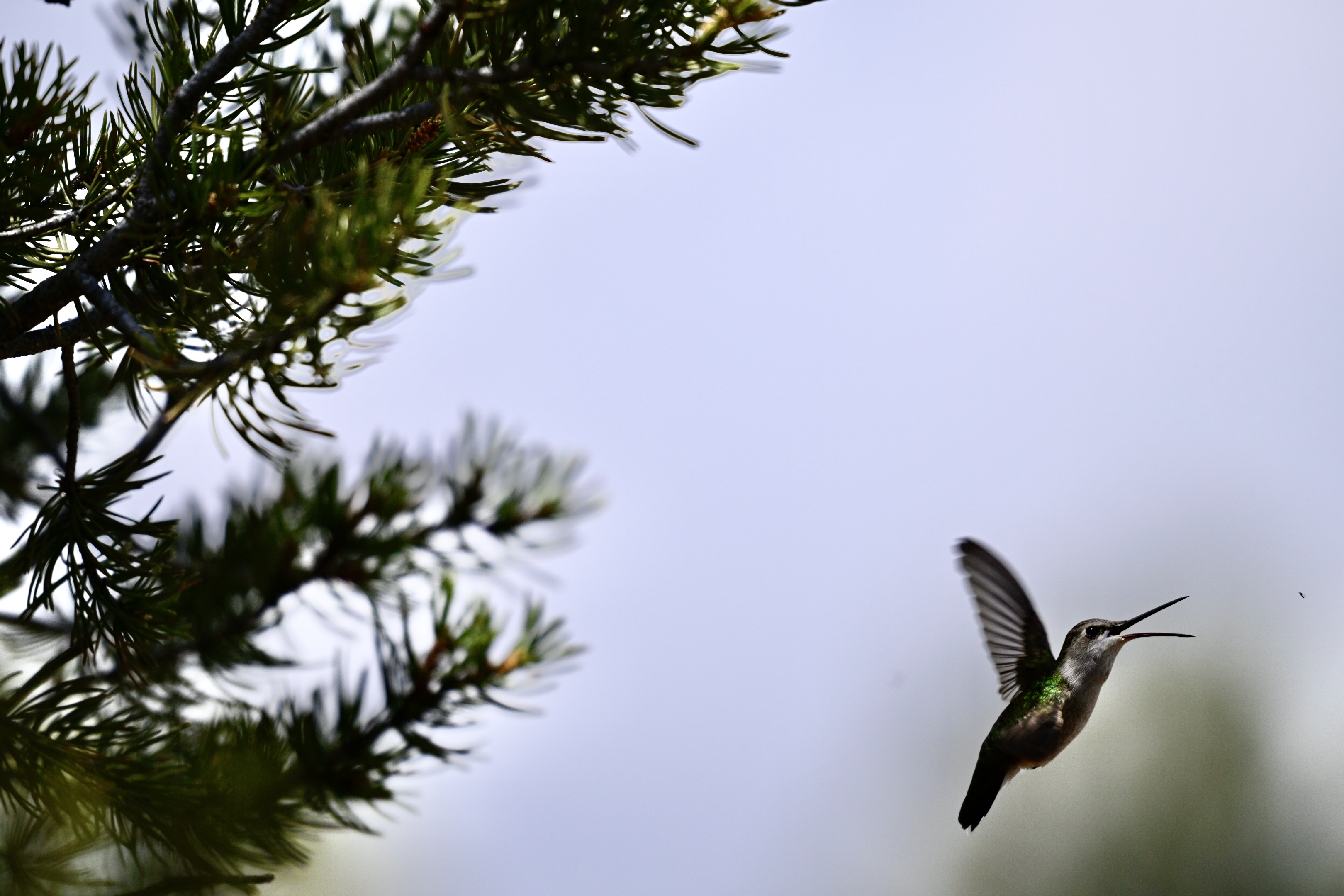 Out there at the edges of this work lives the future book. I have no desire to create a digital "anything," from this work. Nikon.