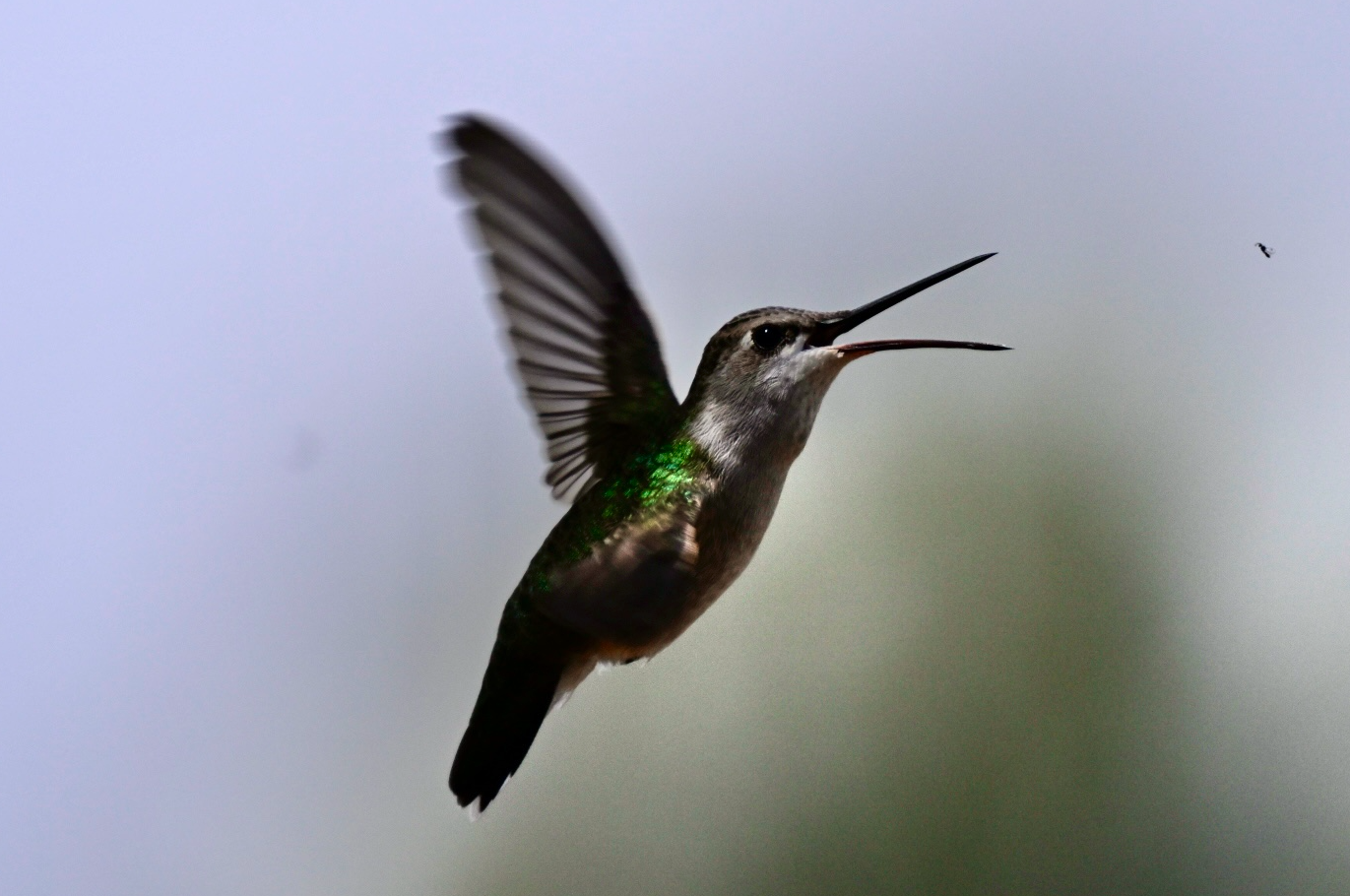 Out there at the edges of this work lives the future book. I have no desire to create a digital "anything," from this work. Nikon.