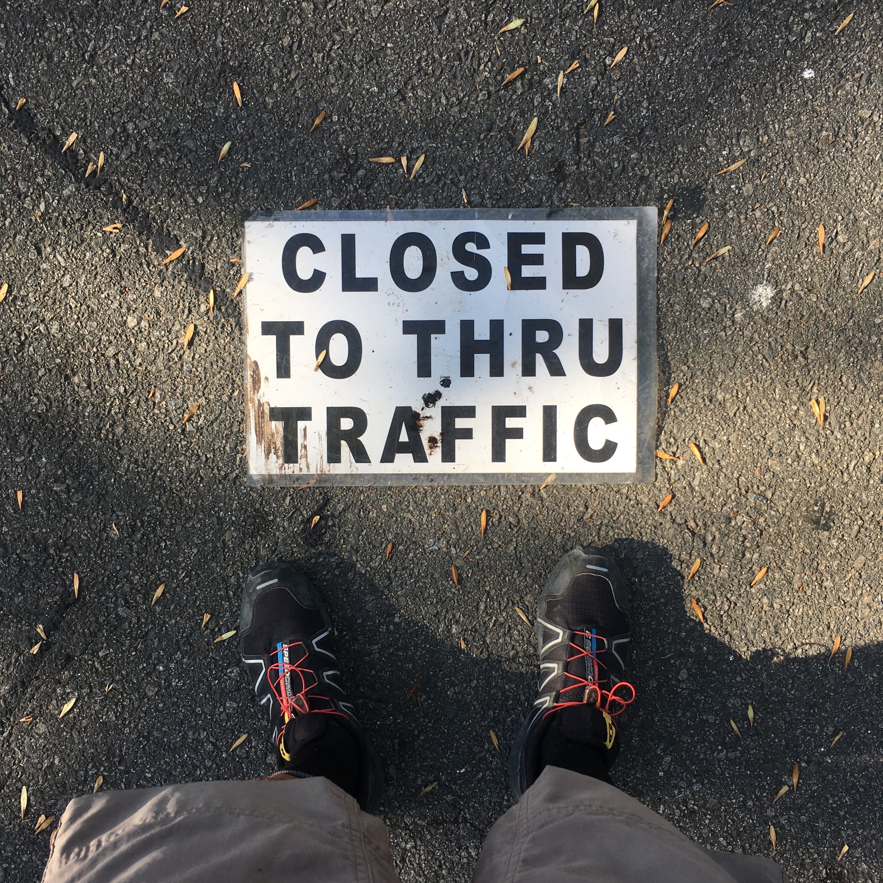 Will Los Angeles be able to create a no-car atmosphere for the Olympics in 2028? The article points out a double standard in regard to cars. 