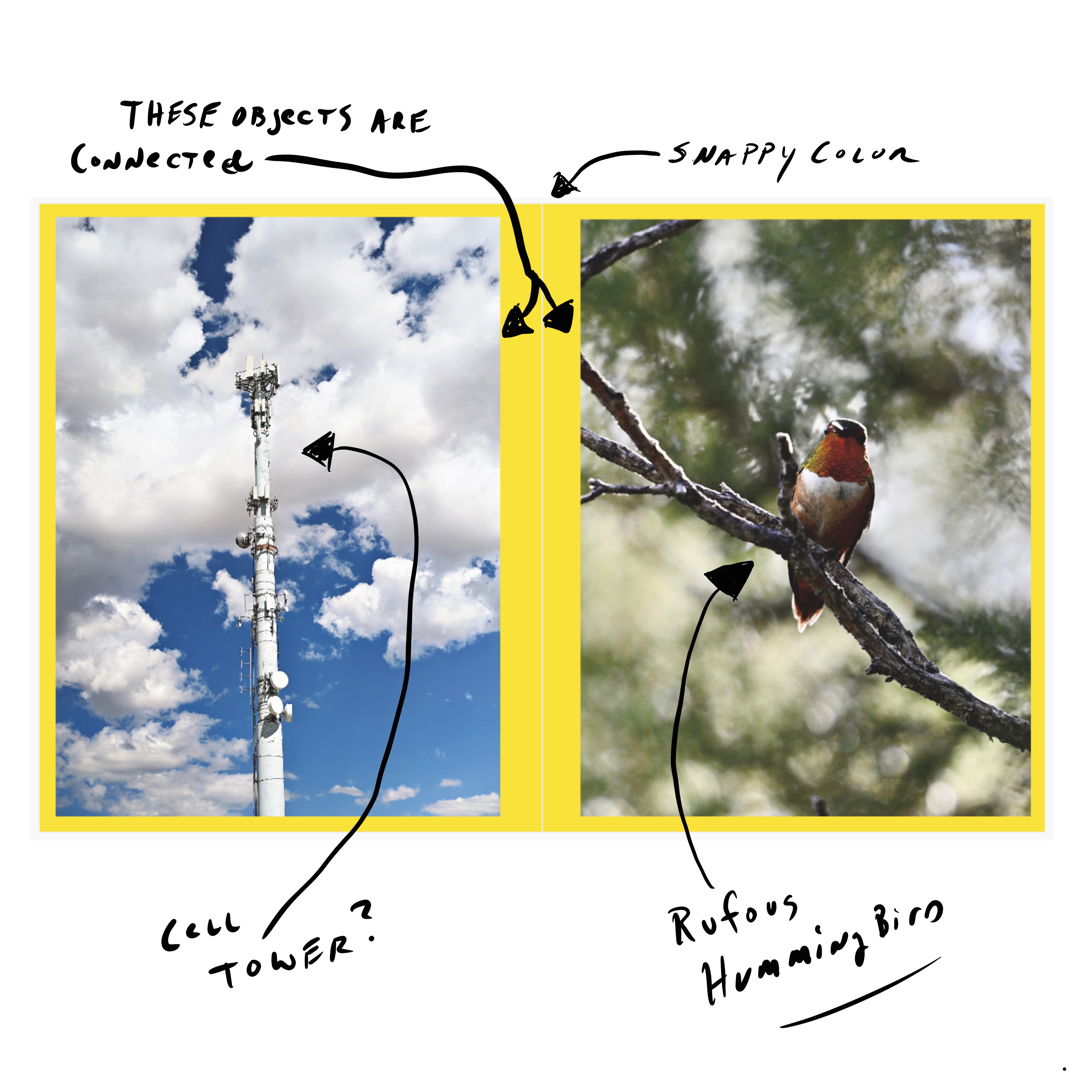 You don't have to work on long-term, people based projects. You don't. You can change and make perfectly good work. 