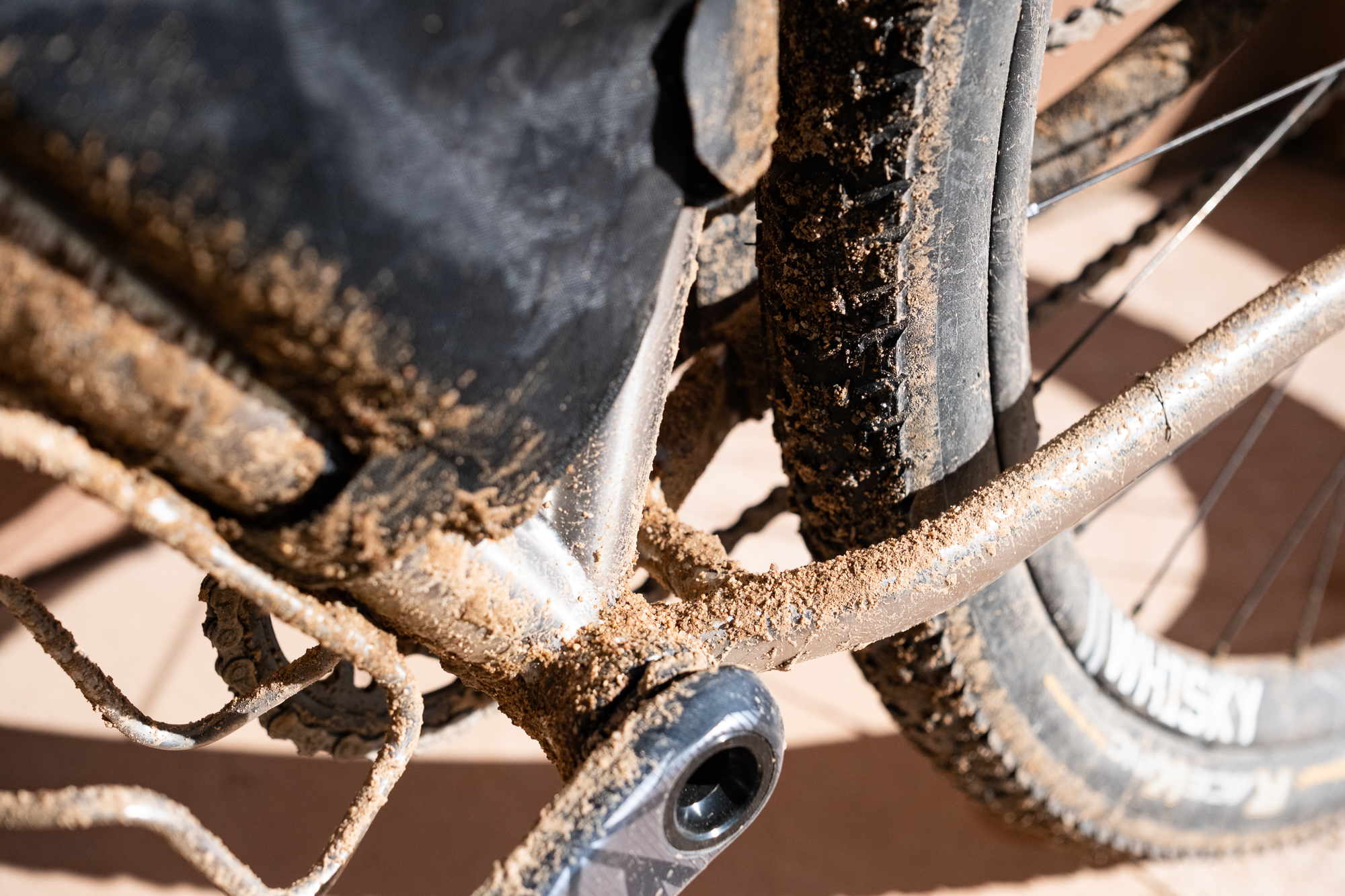 So, I made an order of Kion Aminos. Mango. Because who doesn't love tropical fruit? A week ago I began a two-bottle amino routine.