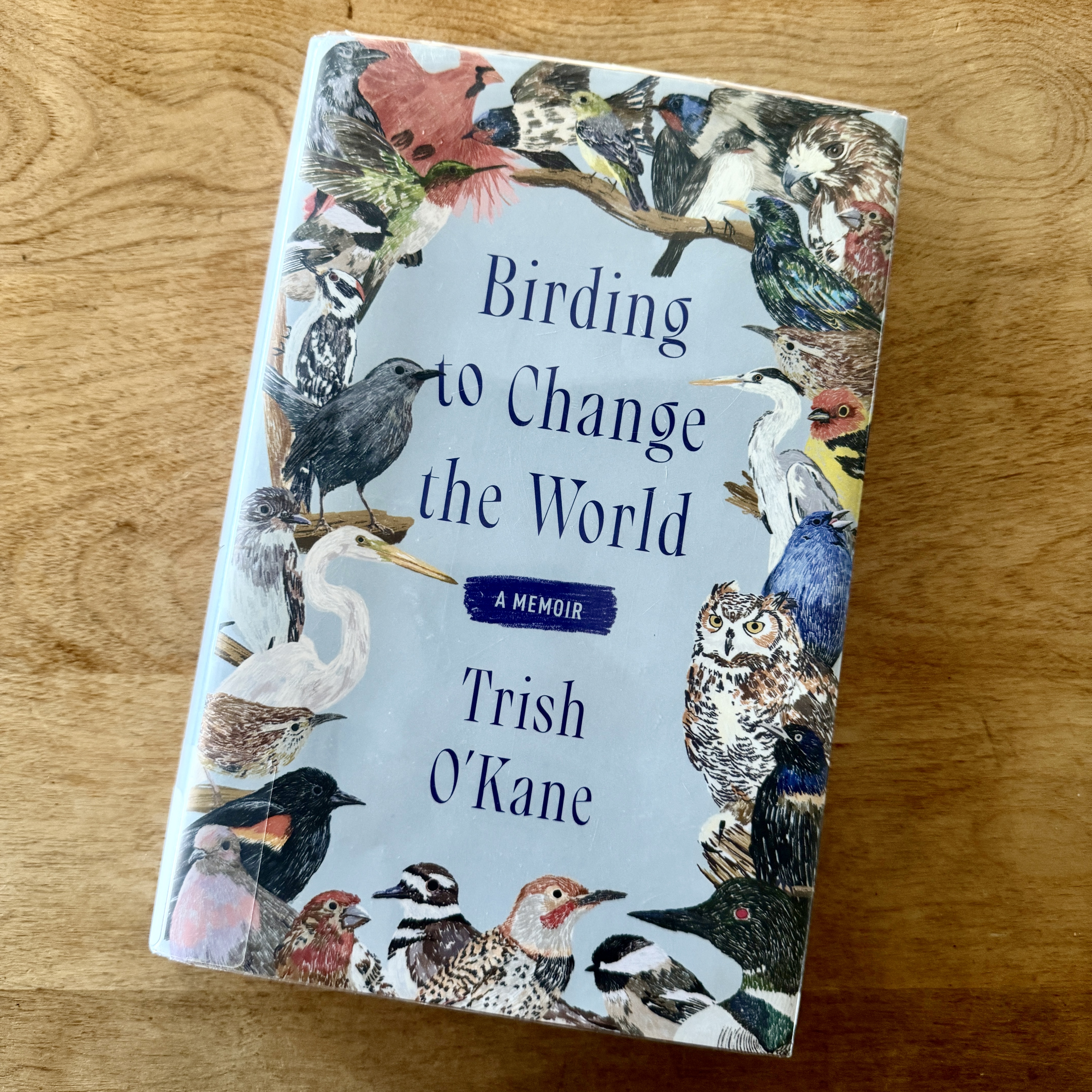 "Birding to Change the World," is the story of this life, and of what came after Katrina, another battle to protect a city park. 