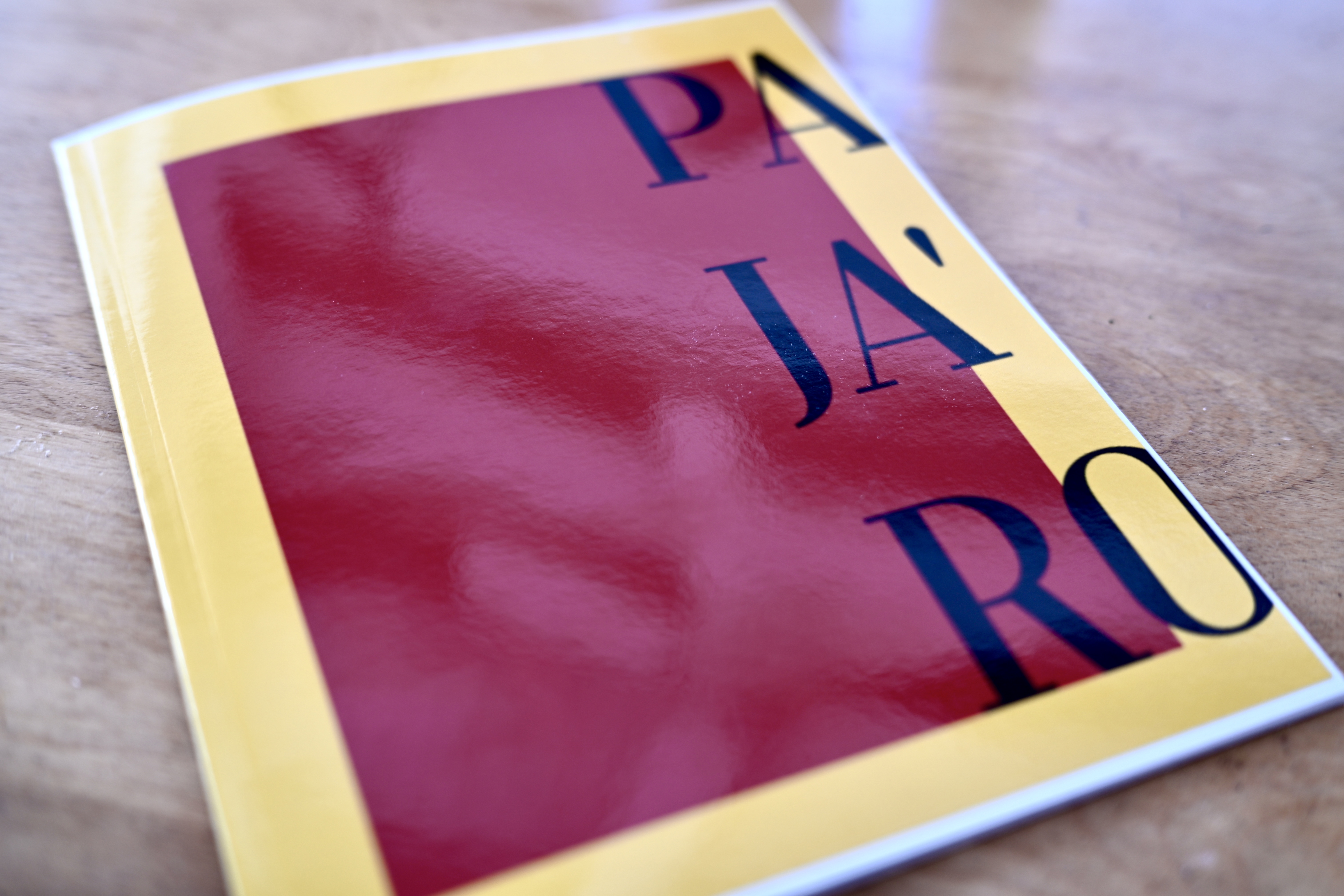 I'm not sure I've ever seen photography transfer to the printed page better than bird photography. Blurb Books. 8x10, softcover.