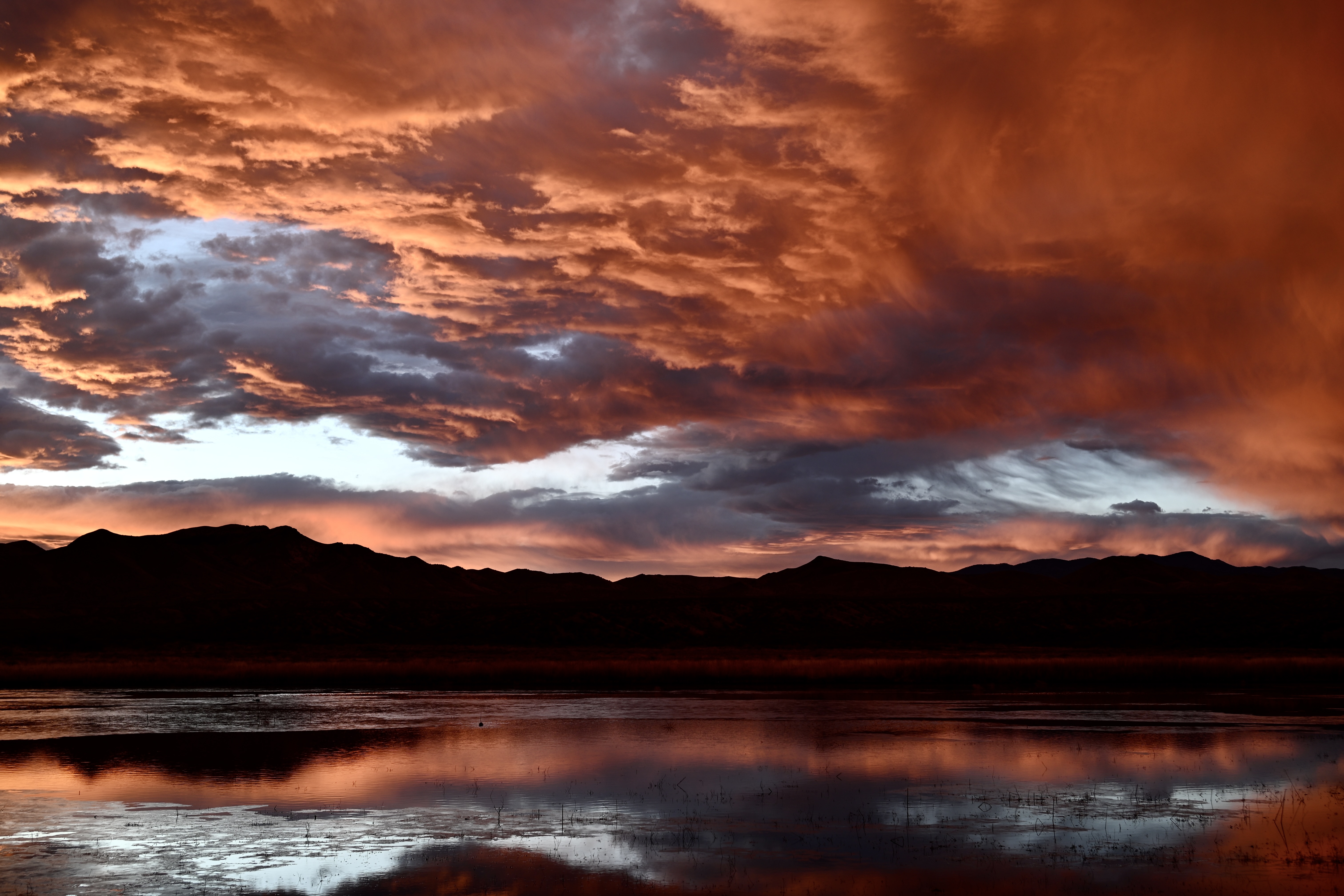 But here's the thing. I still think there is a place for simple. Still + copy. Still photographs and good writing still have a place. 