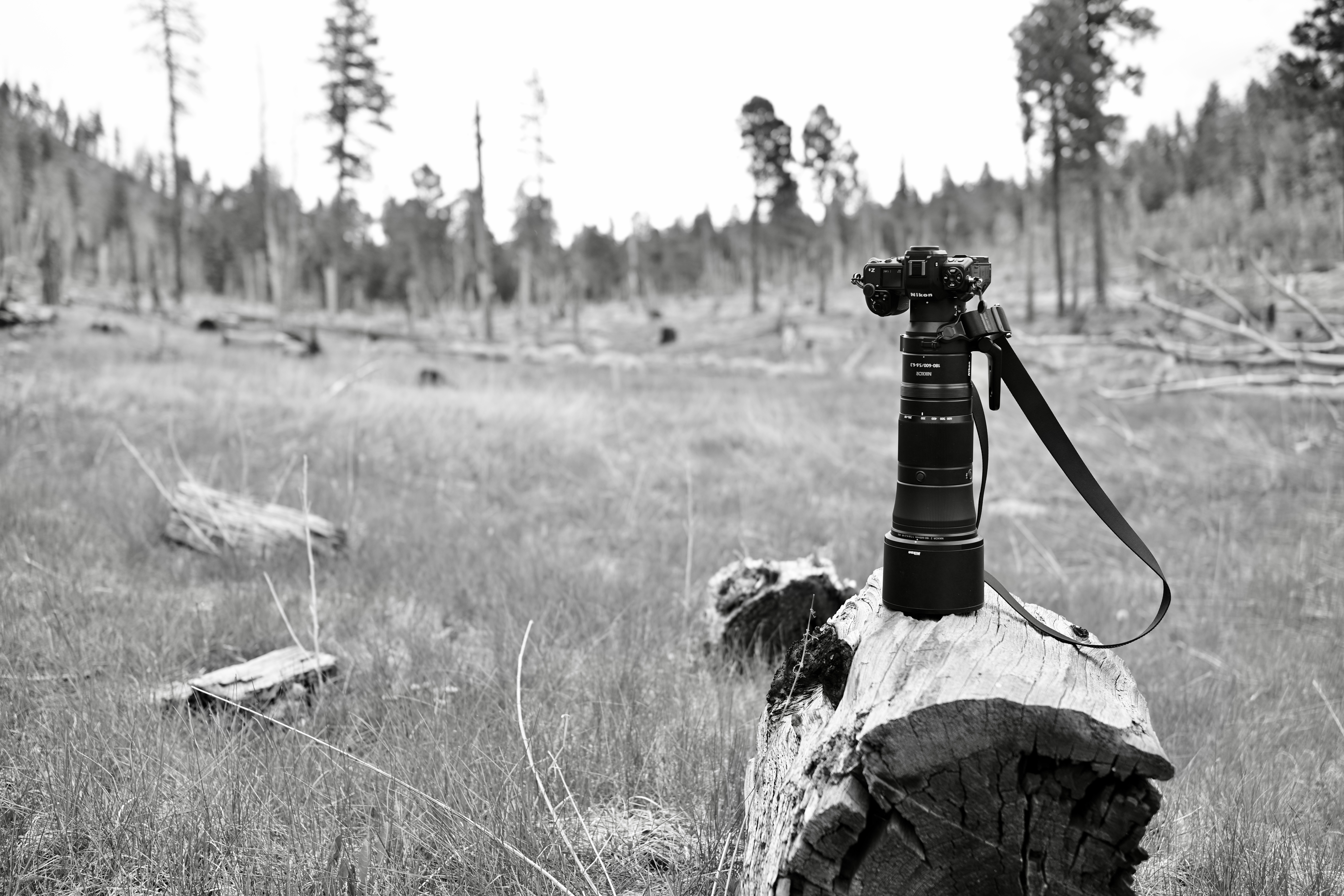 A day of hiking and birding in Northern New Mexico which leads to making prints and making journals of what I have and don't have. Photography