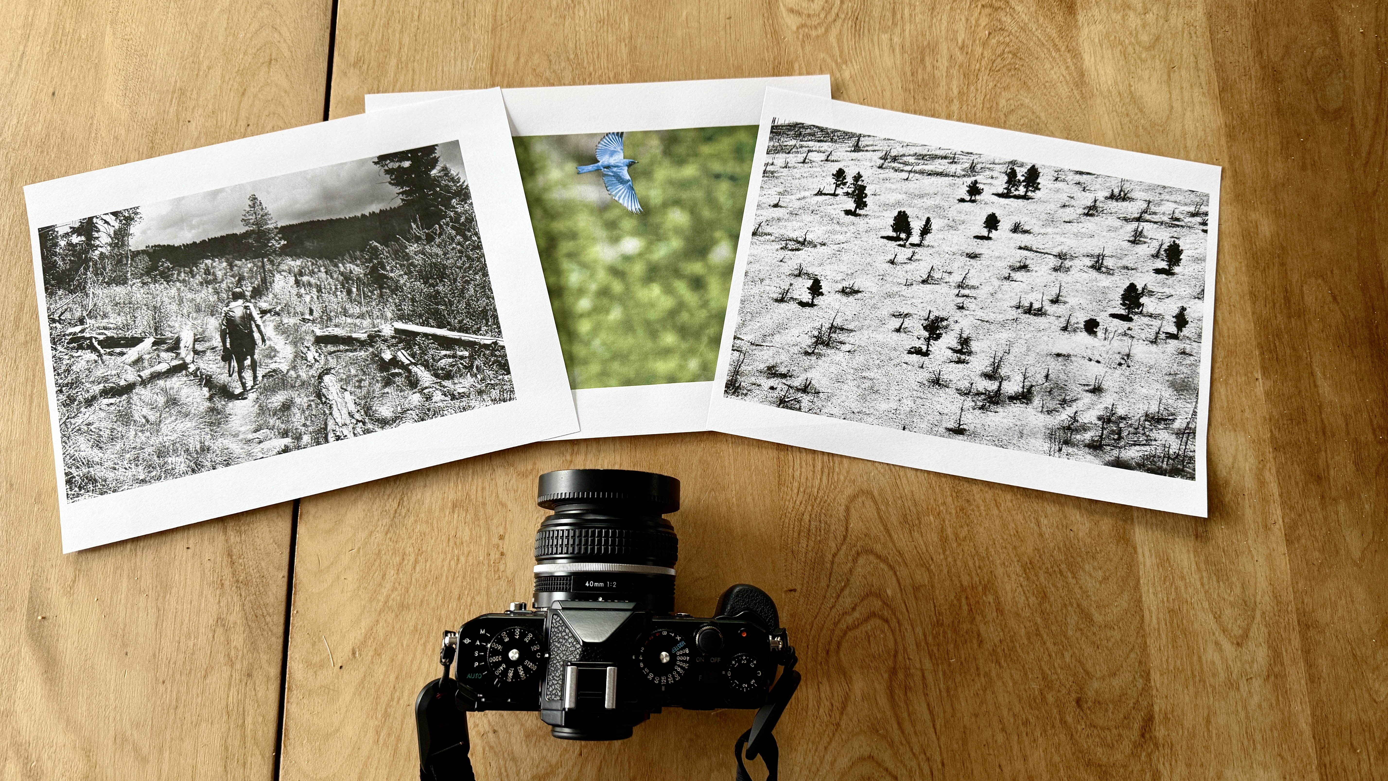 A day of hiking and birding in Northern New Mexico which leads to making prints and making journals of what I have and don't have. Photography
