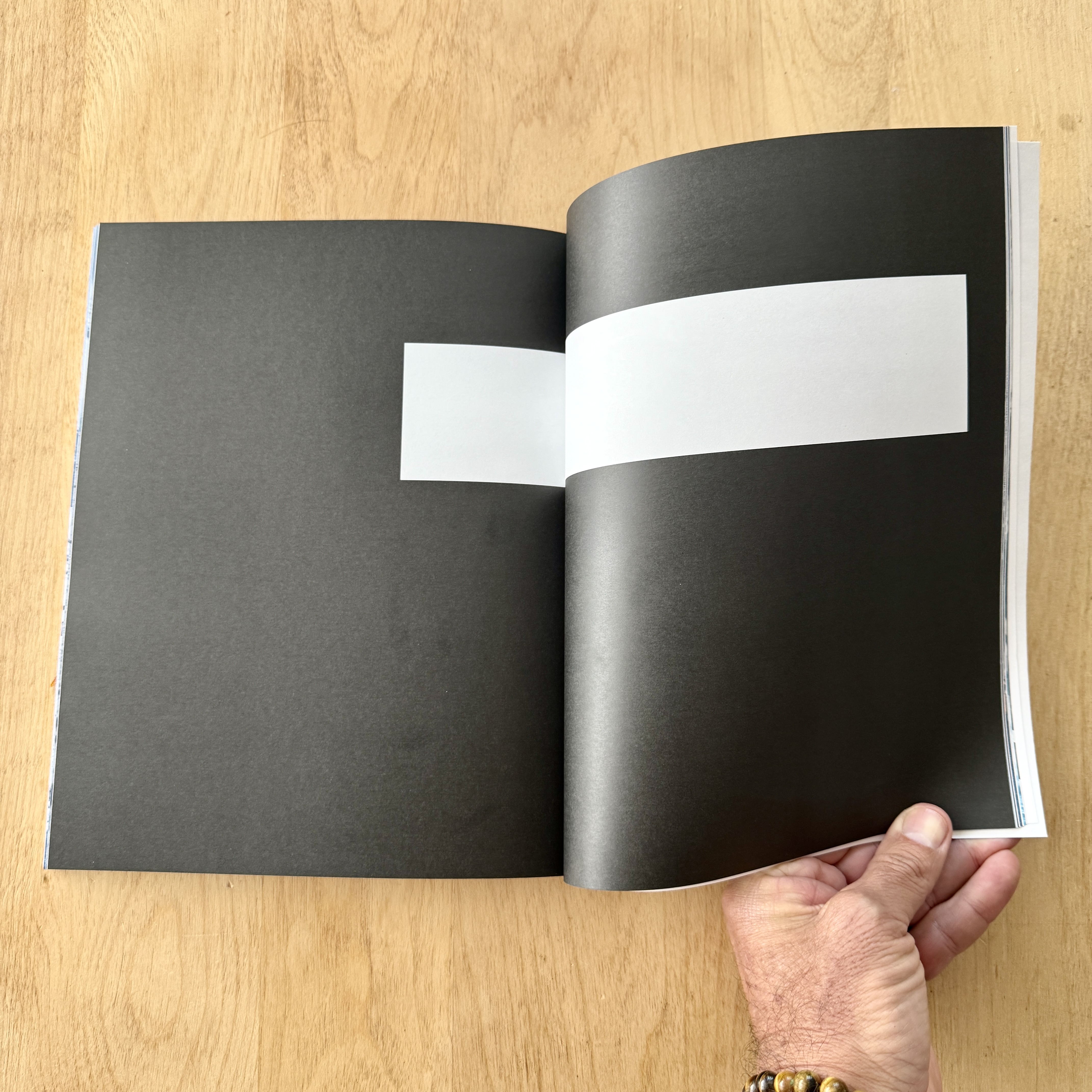 What you see here is my Blurb Antarctica Notebook. I created this using Blurb BookWright. The pages will be worked over after printing.