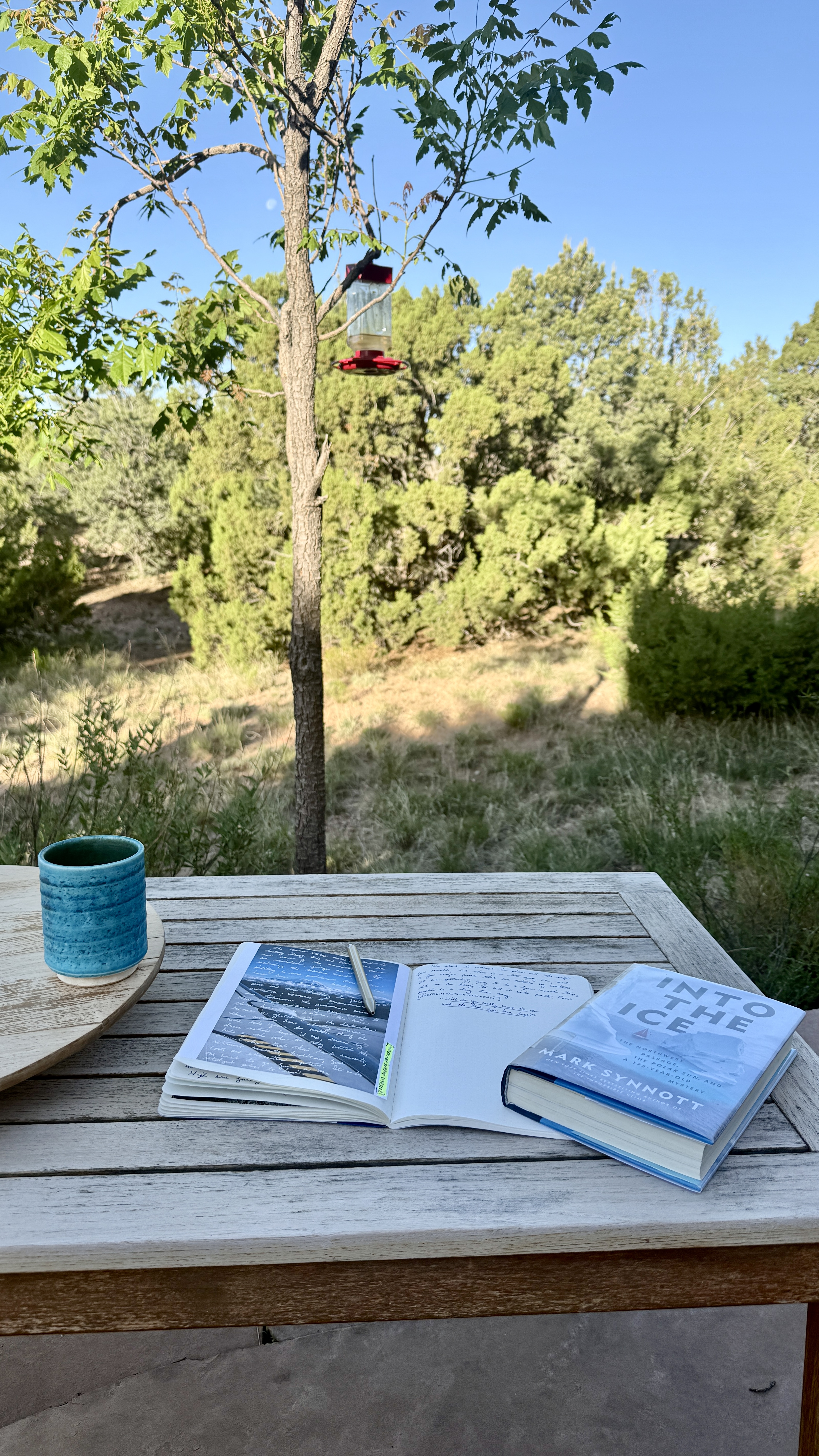 I still have what I call "My Instagram," which is in no way connected to the app. My IG is reading and writing, something I do daily. 