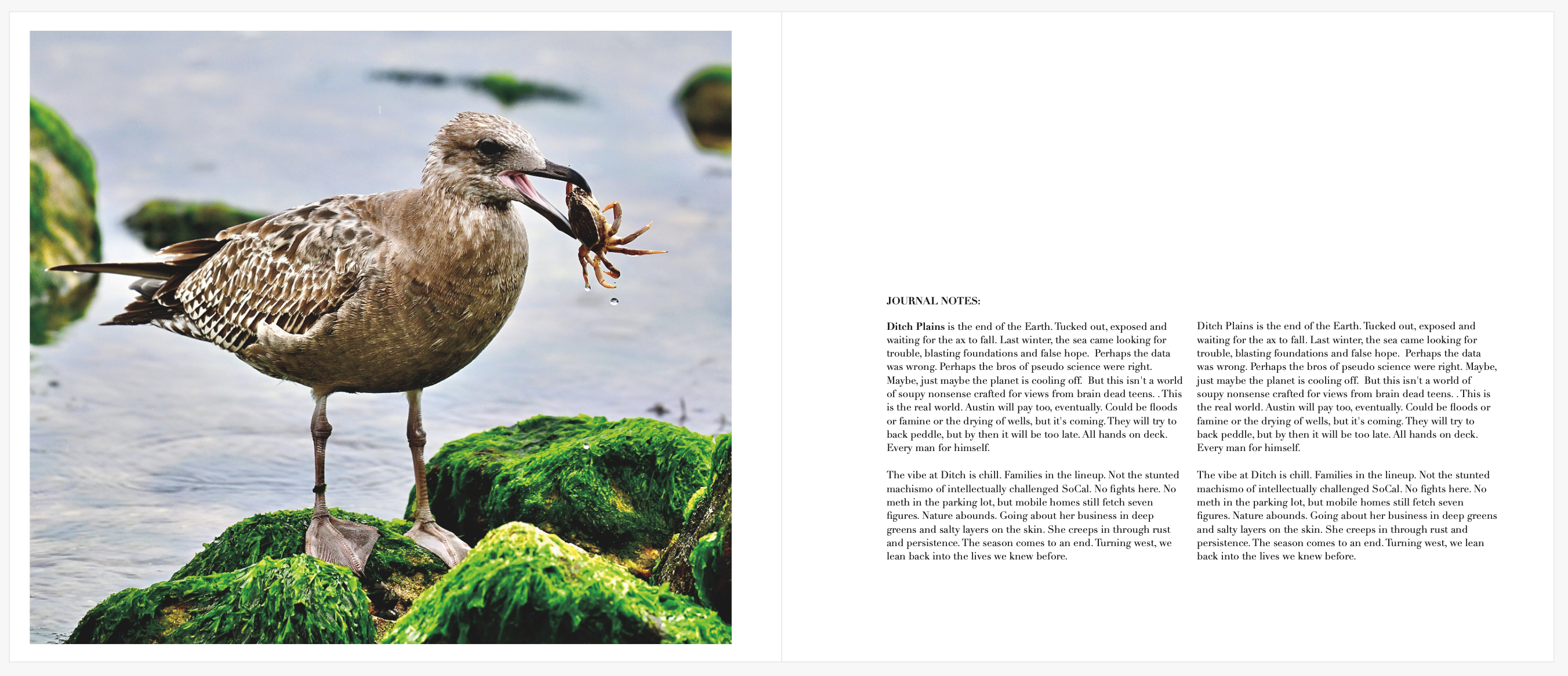 Photography is a wonderful pursuit, even when there is no "reward" for making pictures. A day out at Ditch Plains. 