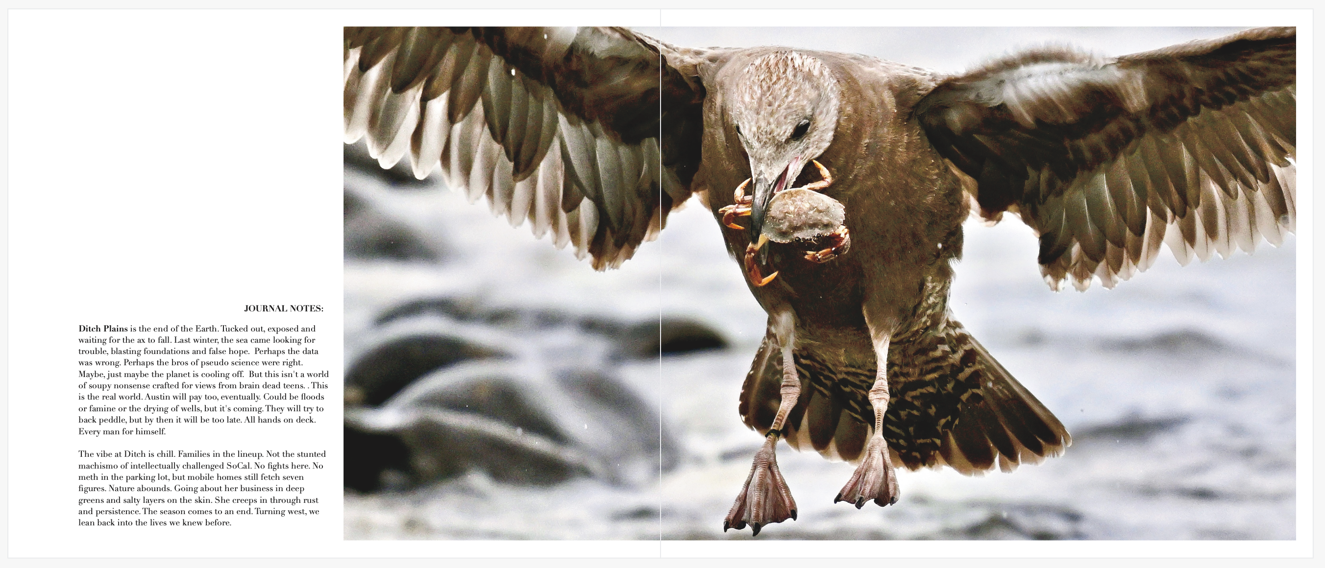 Photography is a wonderful pursuit, even when there is no "reward" for making pictures. A day out at Ditch Plains. 