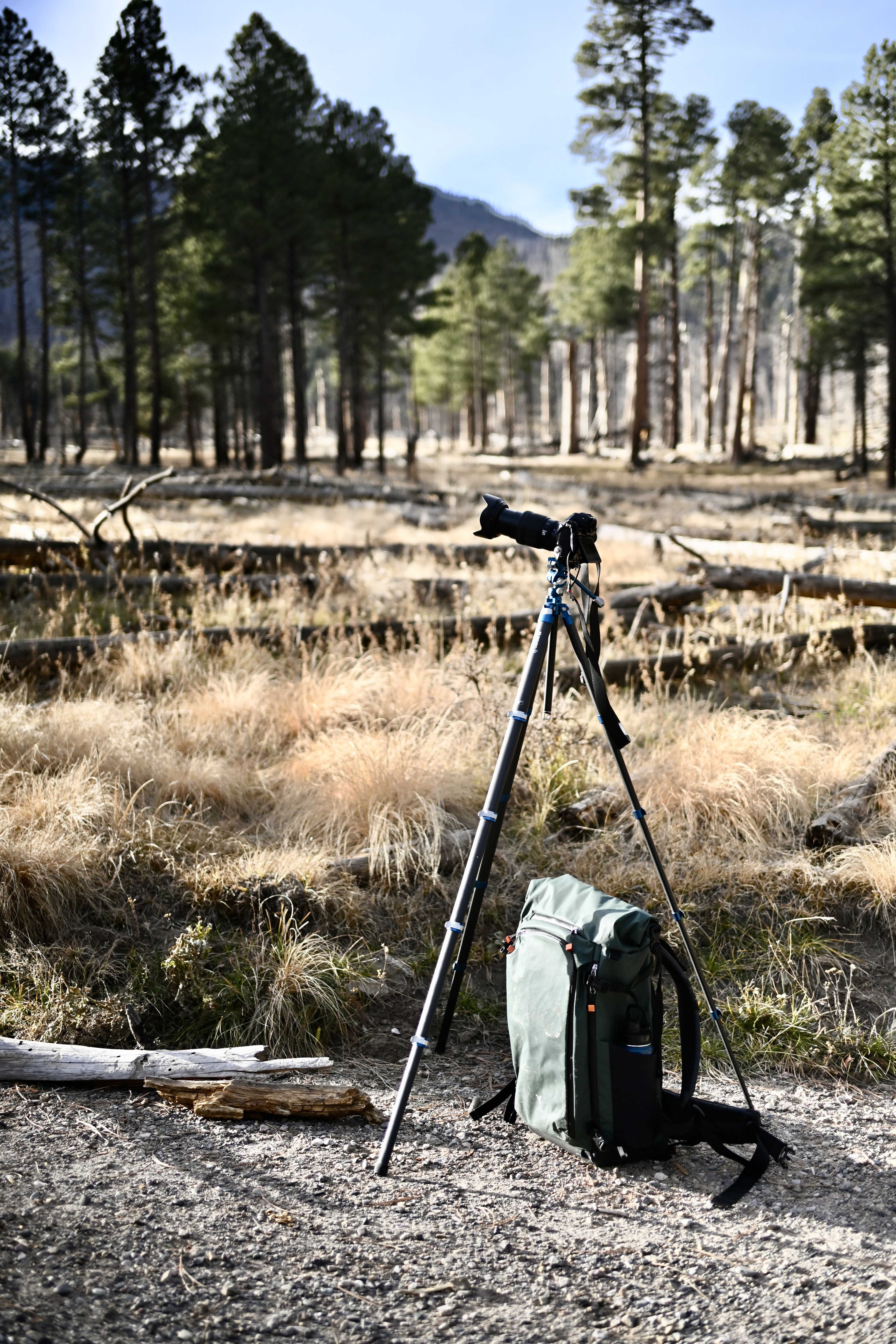 A short story about a day out in the Valle Caldera area of Northern New Mexico. We encounter the legendary elk herd. 