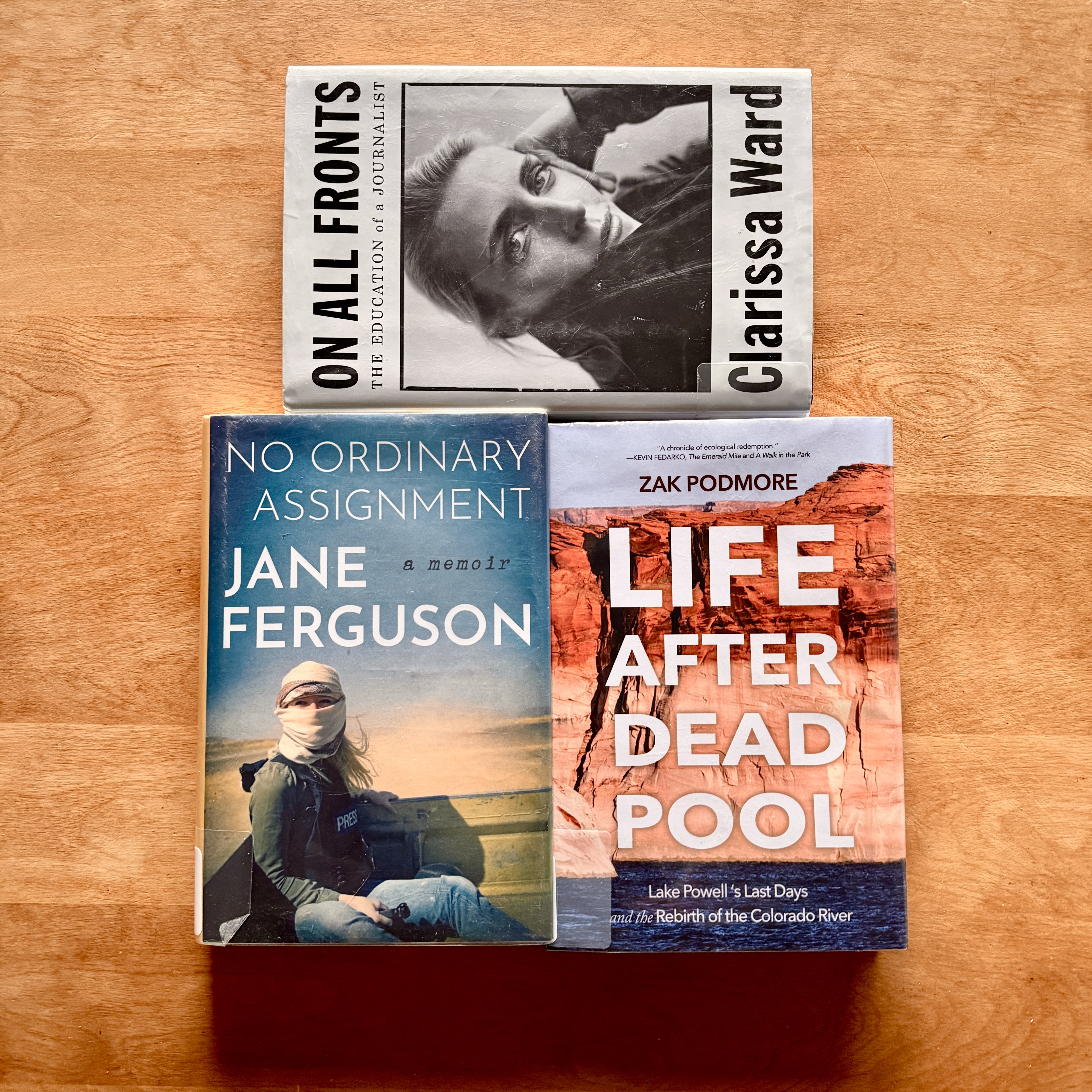 A recap of some of the most recent books on my reading list. These books cover journalism, the art world, and Lake Powell. 