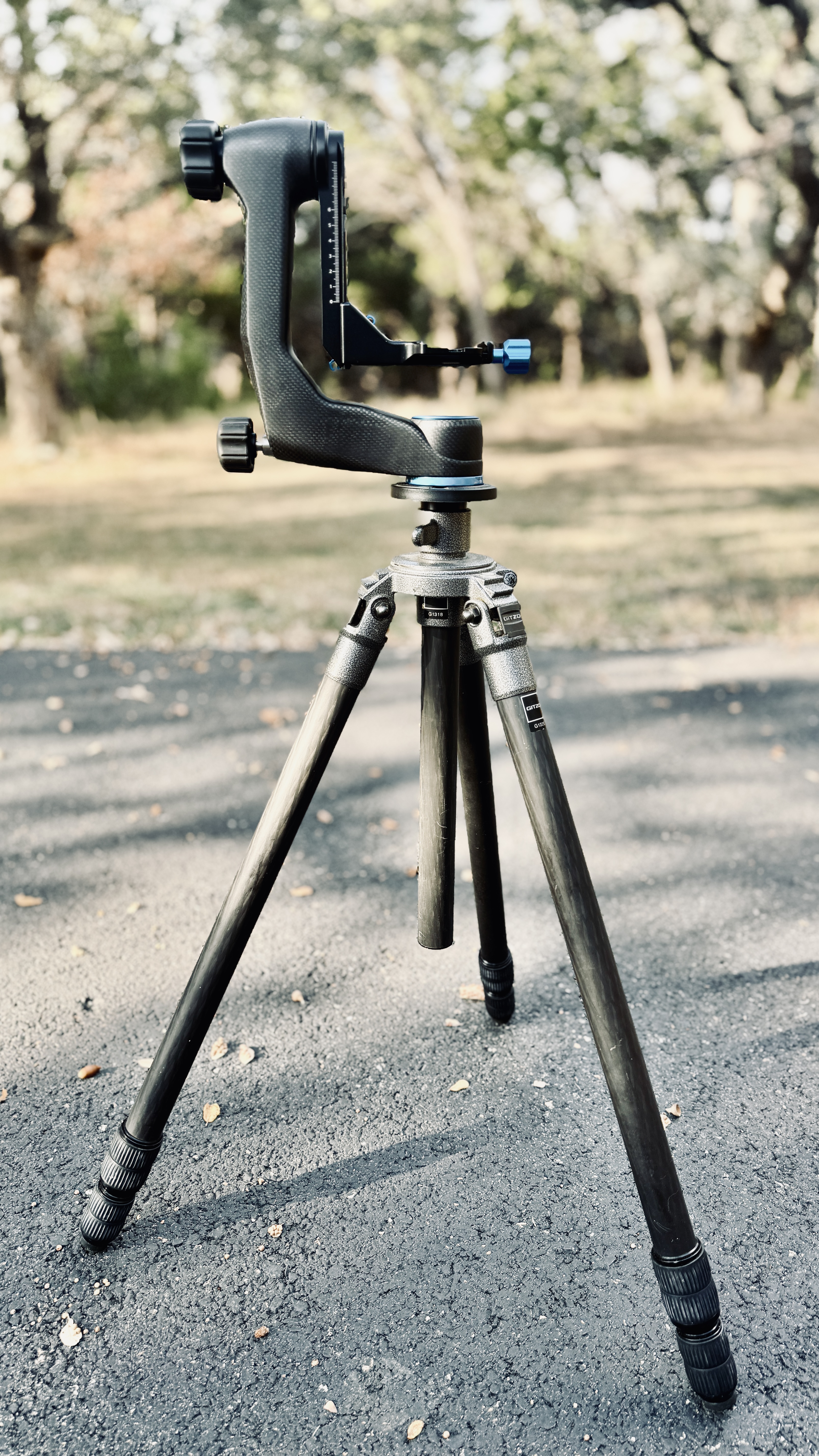 I recently purchased a Benro GH5C carbon fiber gimbal head for my tripod. This is the second Benro tripod I've purchased. 