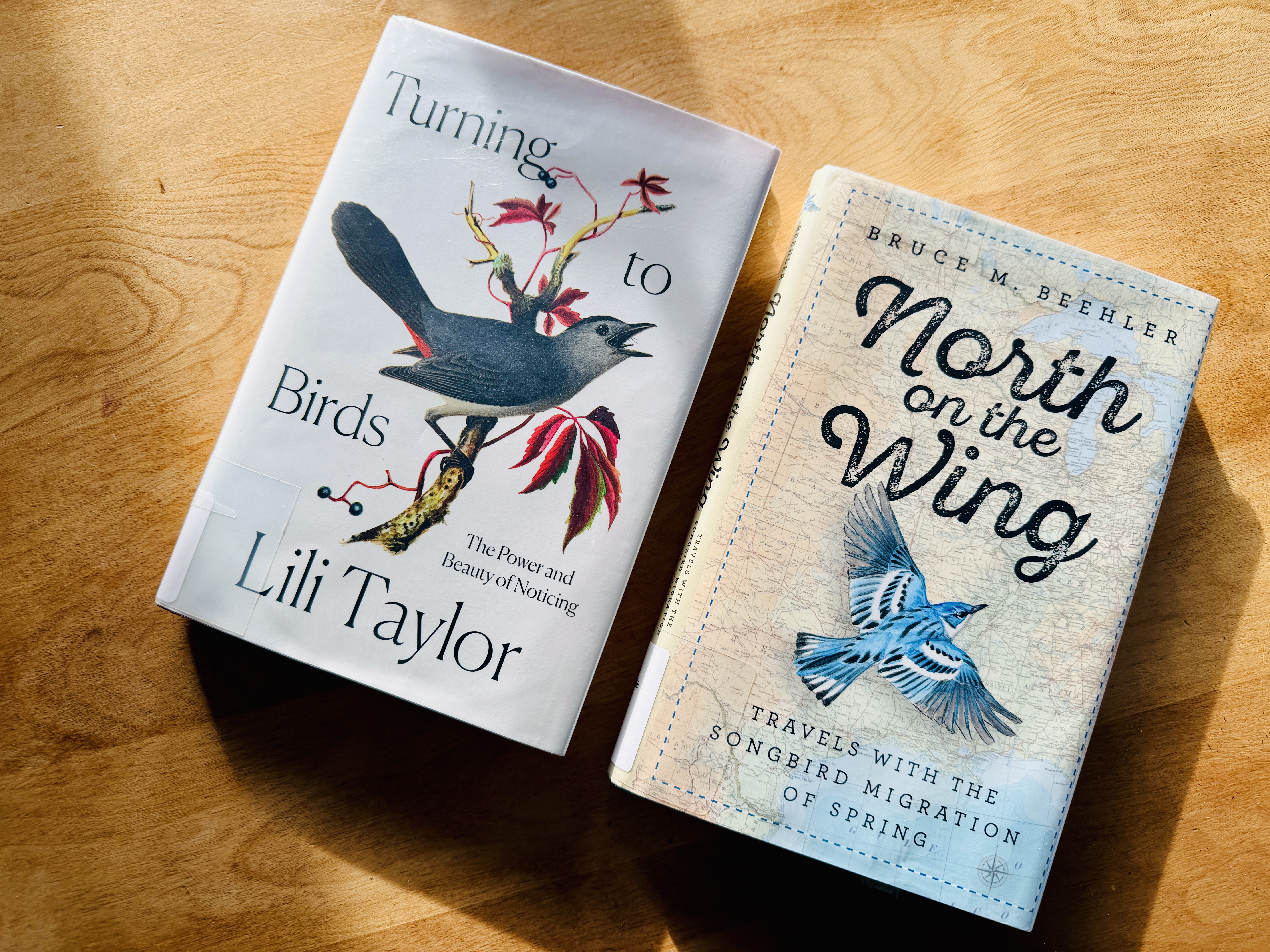 Featured image for “Read: Birds and More Birds”