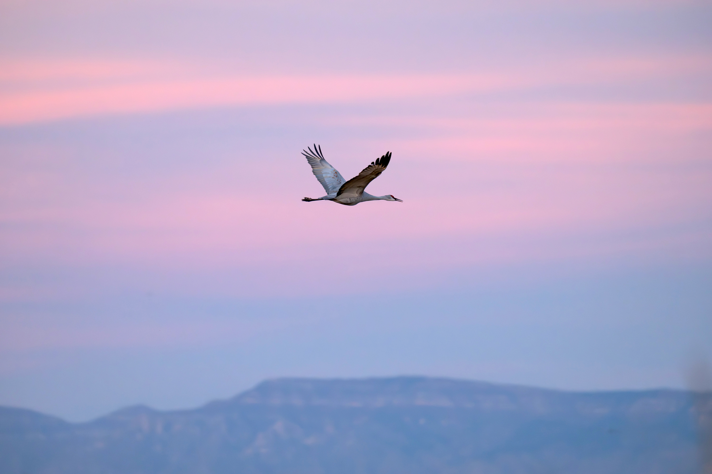 I've never been motivated by what comes after. You know, the marketing, the sales, the distribution. My juice is the field. 