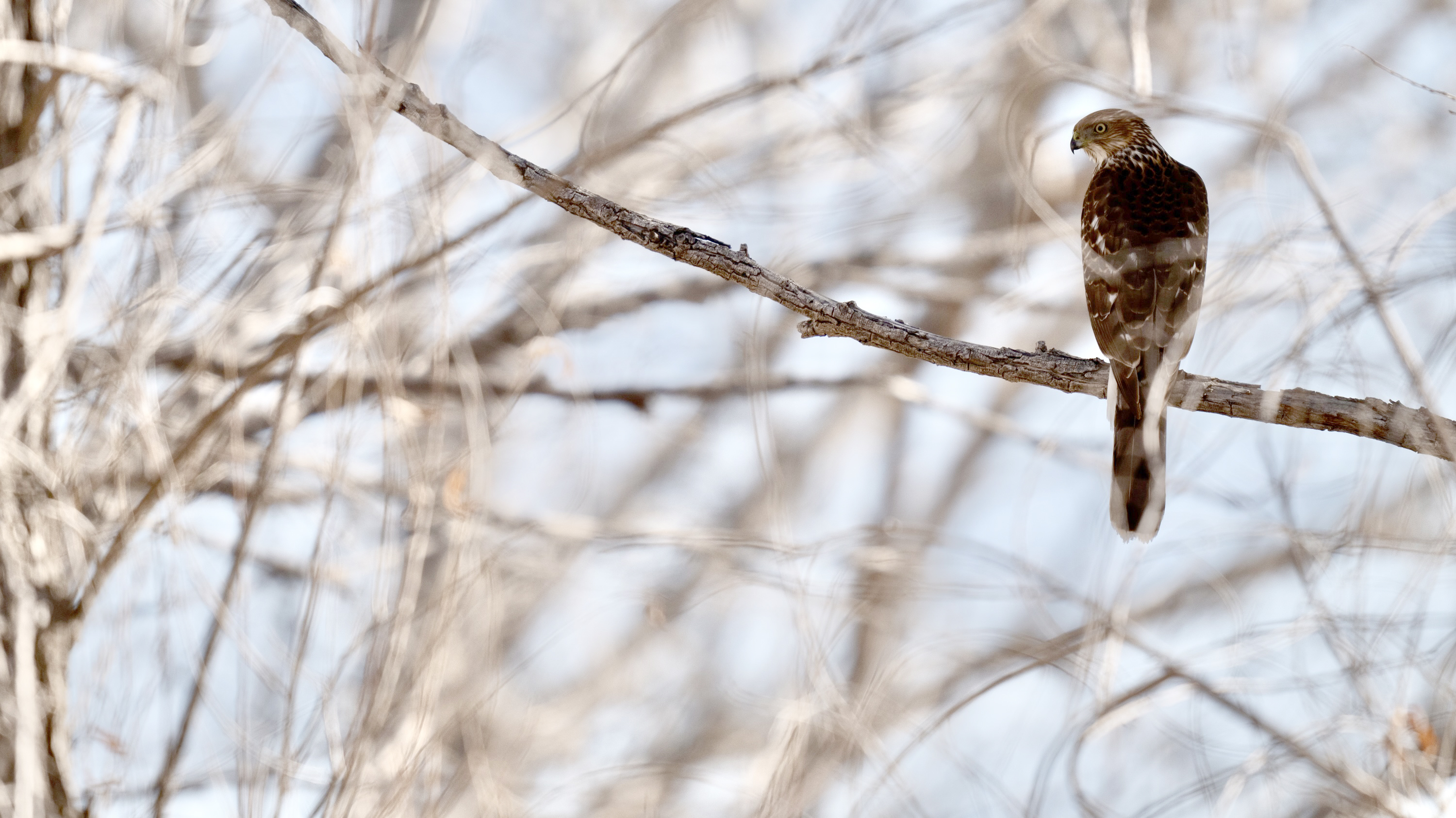 Featured image for “Adventure: What You Do After”