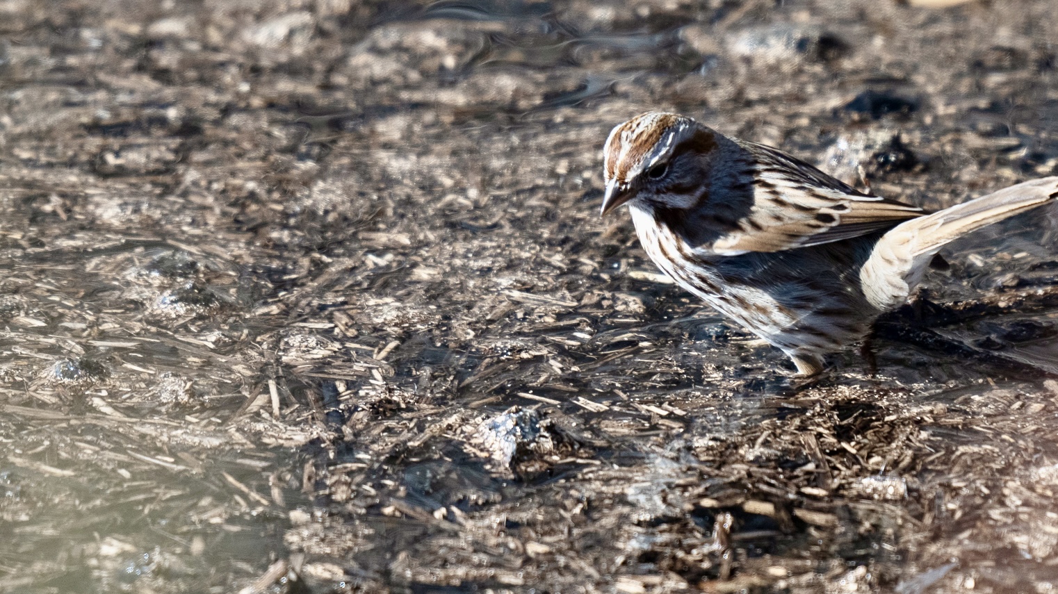 I've never been motivated by what comes after. You know, the marketing, the sales, the distribution. My juice is the field. 