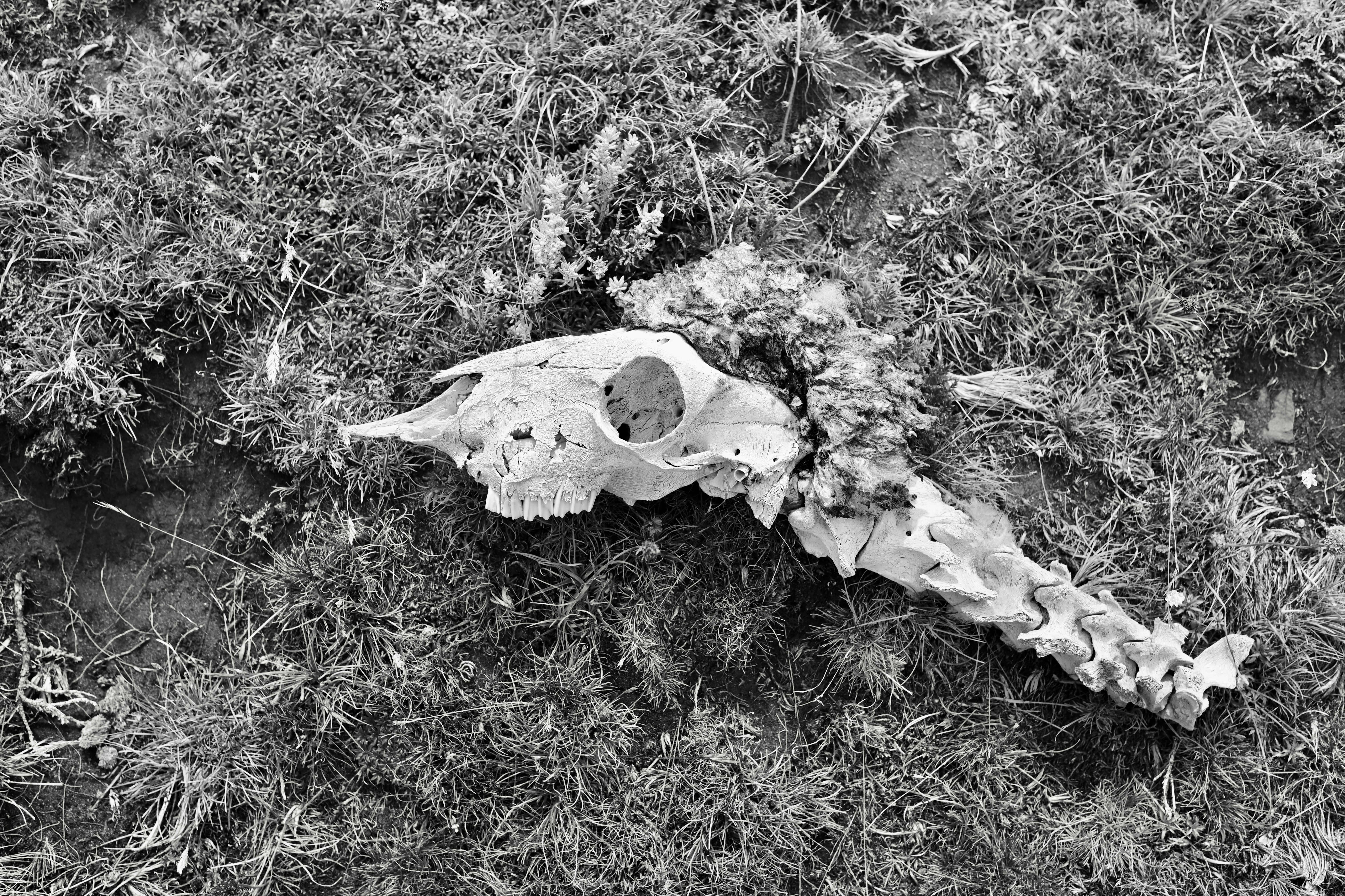 My latest installment of "Photo Fiction," where I blend real imagery with a fictional narrative. This series is about imagination. 