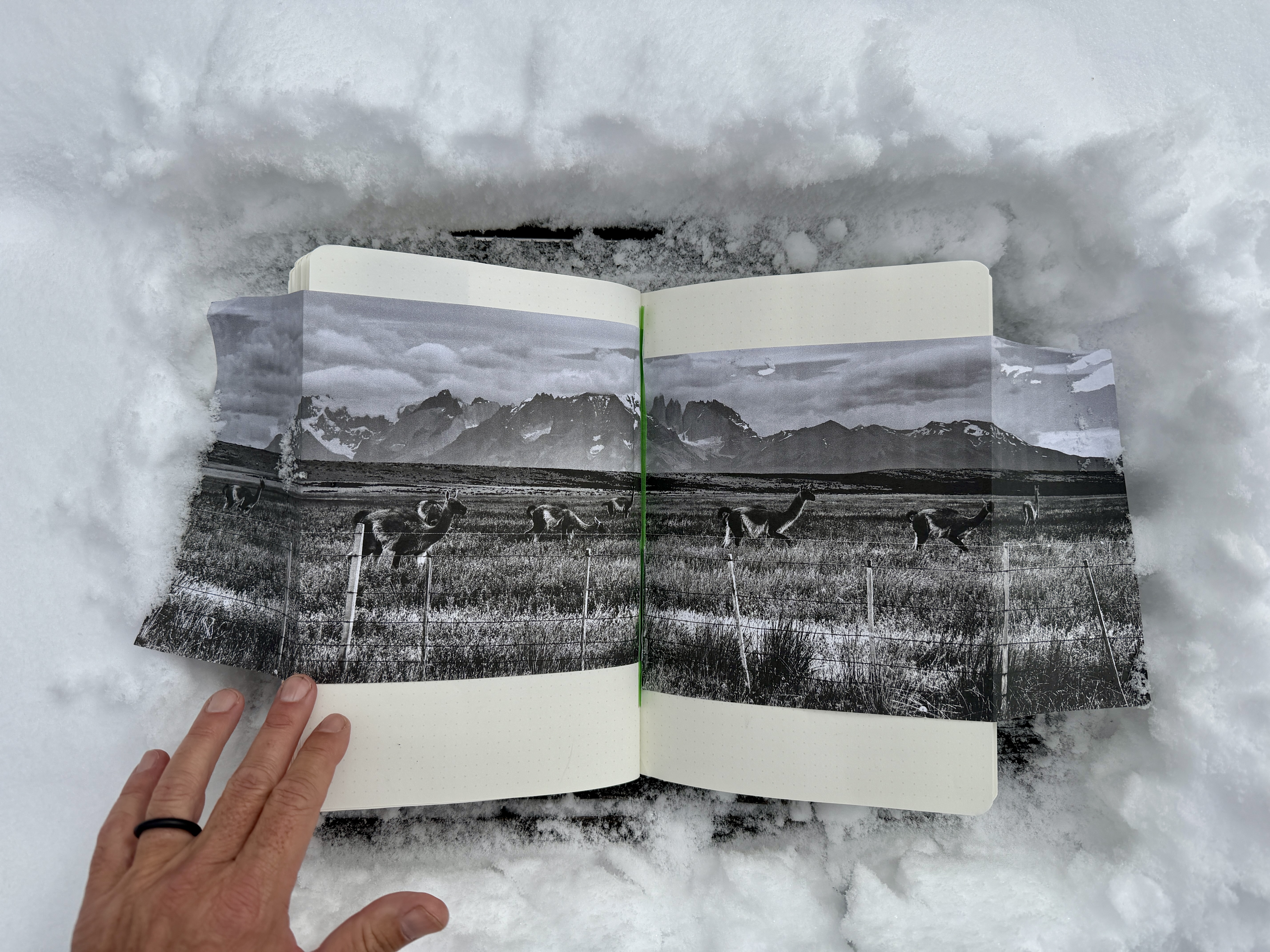 Featured image for “Creative: Imagine If We Could Go Back”