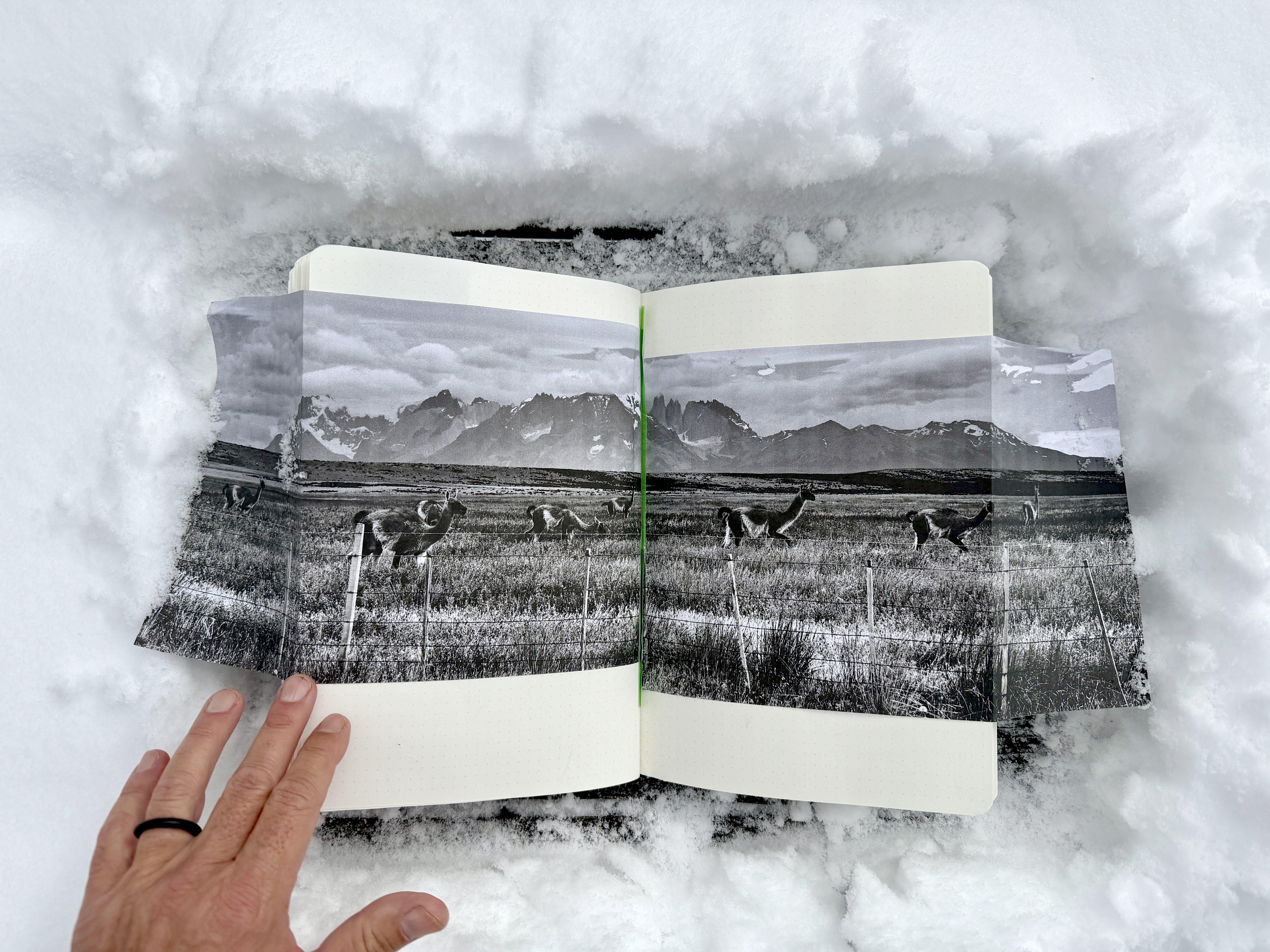 My latest installment of "Photo Fiction," where I blend real imagery with a fictional narrative. This series is about imagination. 