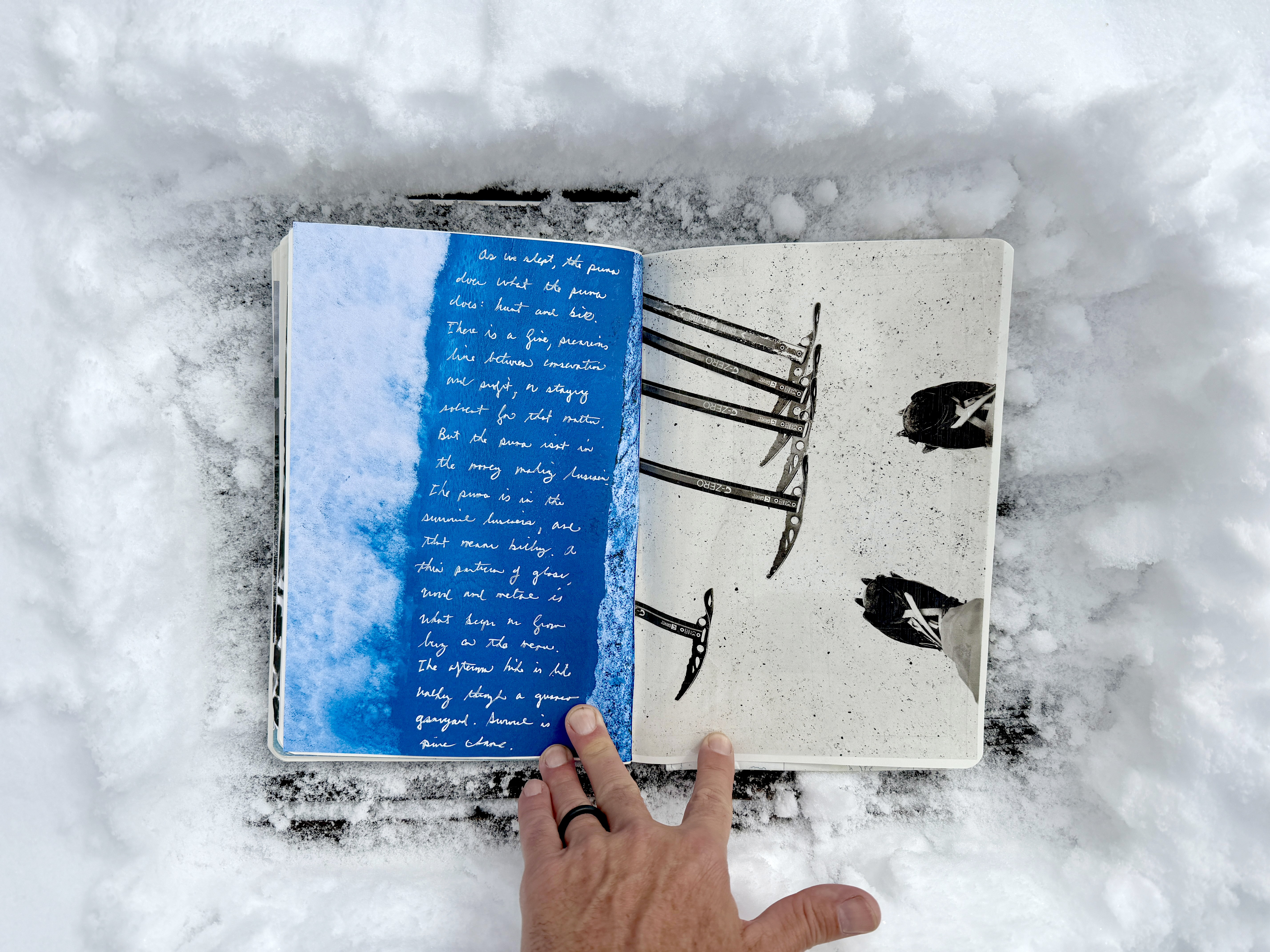 Featured image for “Creative: Patagonia by the Numbers”