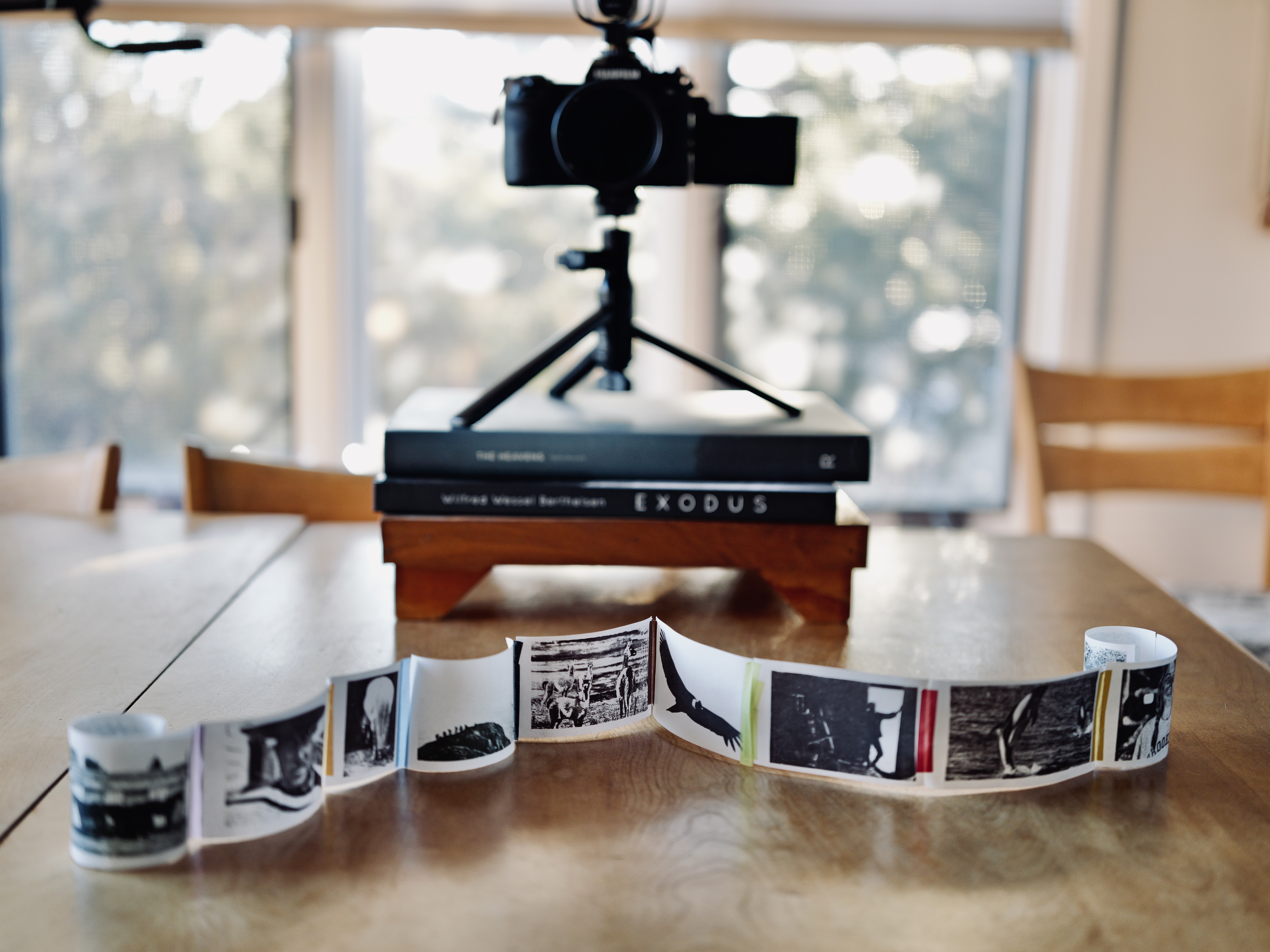 Blurb is doing a DIY book contest, and our social team encouraged me to make something, so I created a thermal zine. 