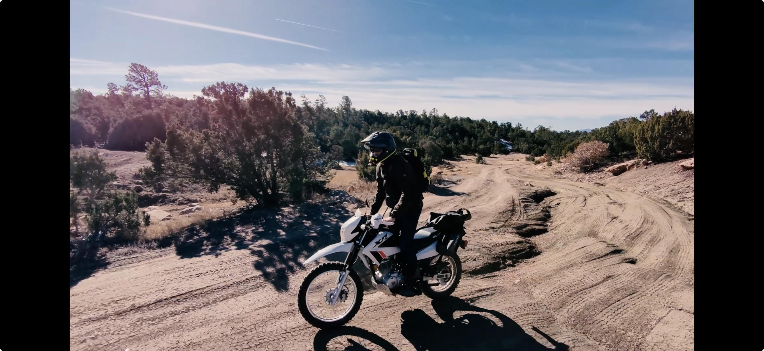 Featured image for “Creative: Expertise”