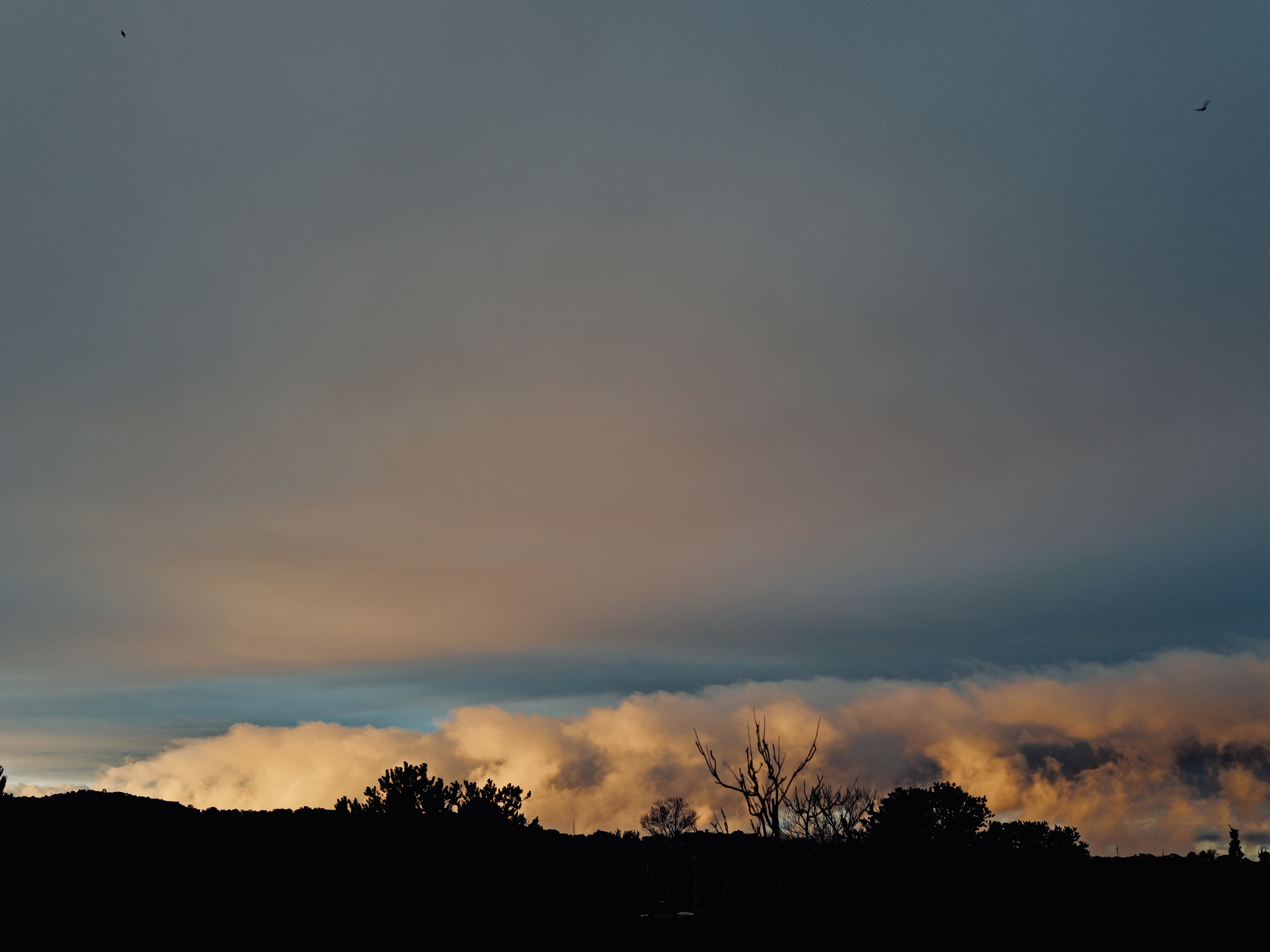 This is a little story about why we fish, about why fishing is about far more than the fish. New Mexico, near Santa Fe.