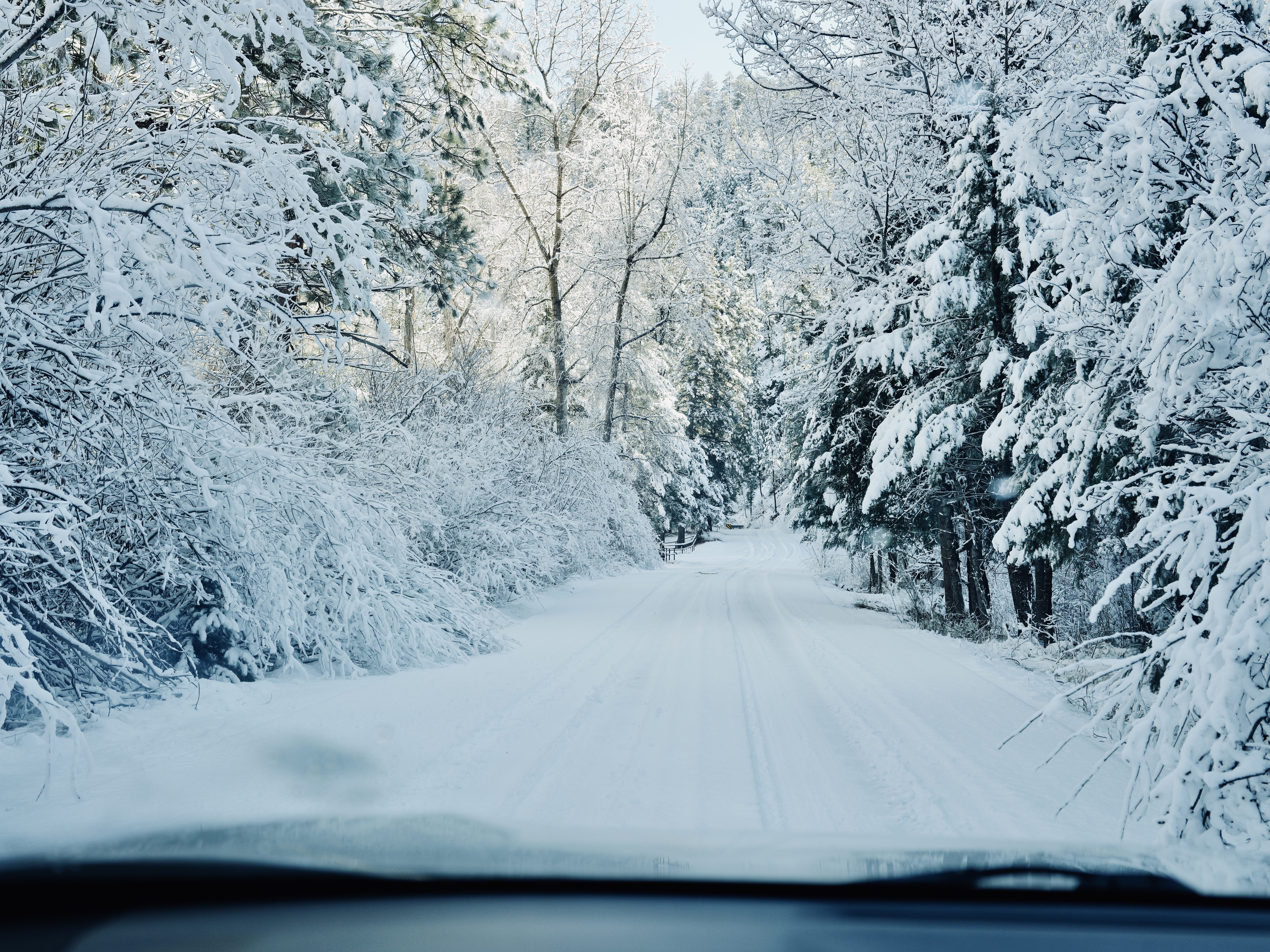 This is a little story about why we fish, about why fishing is about far more than the fish. New Mexico, near Santa Fe.