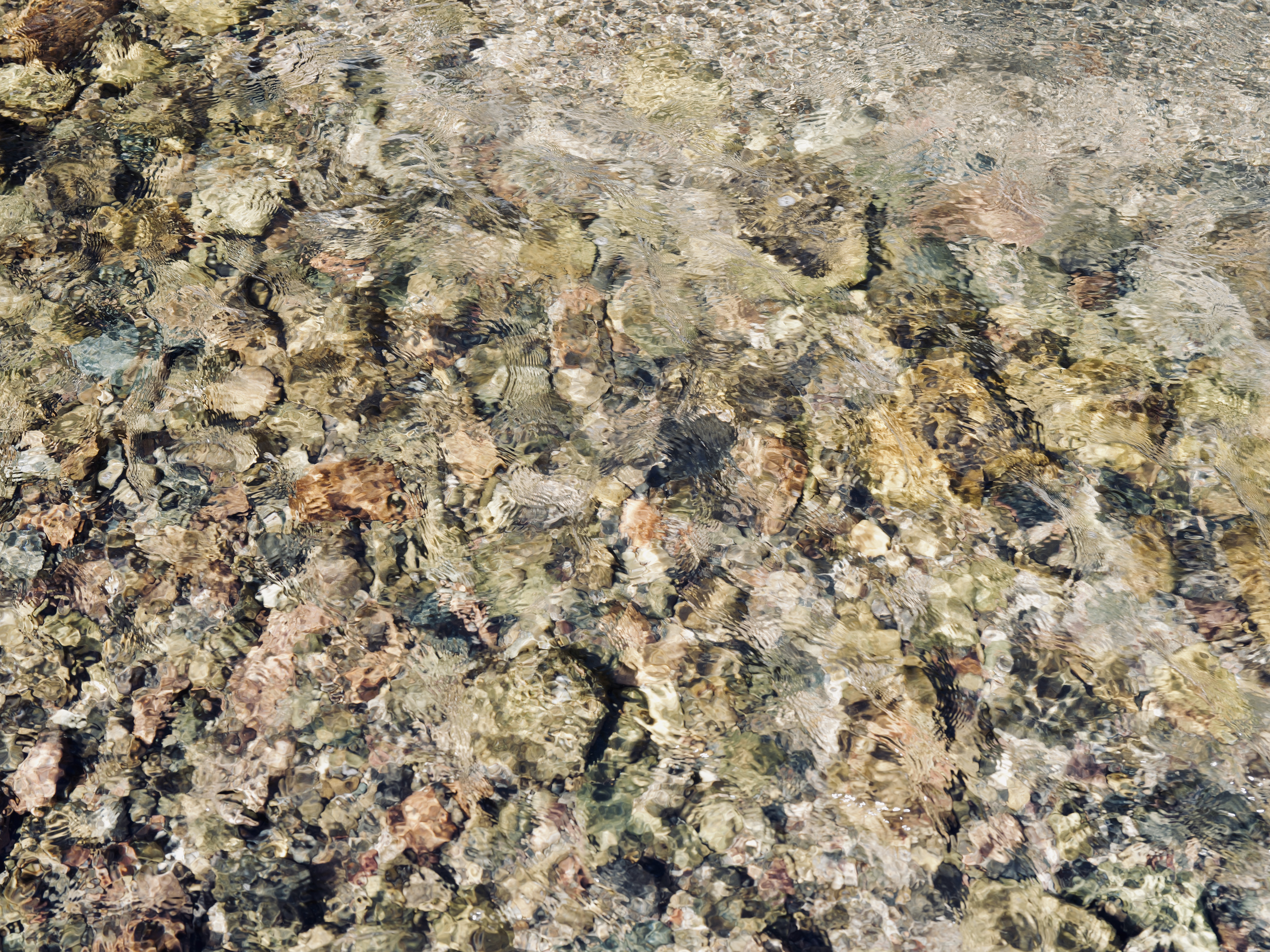 Featured image for “Adventure: Why We Fish.”