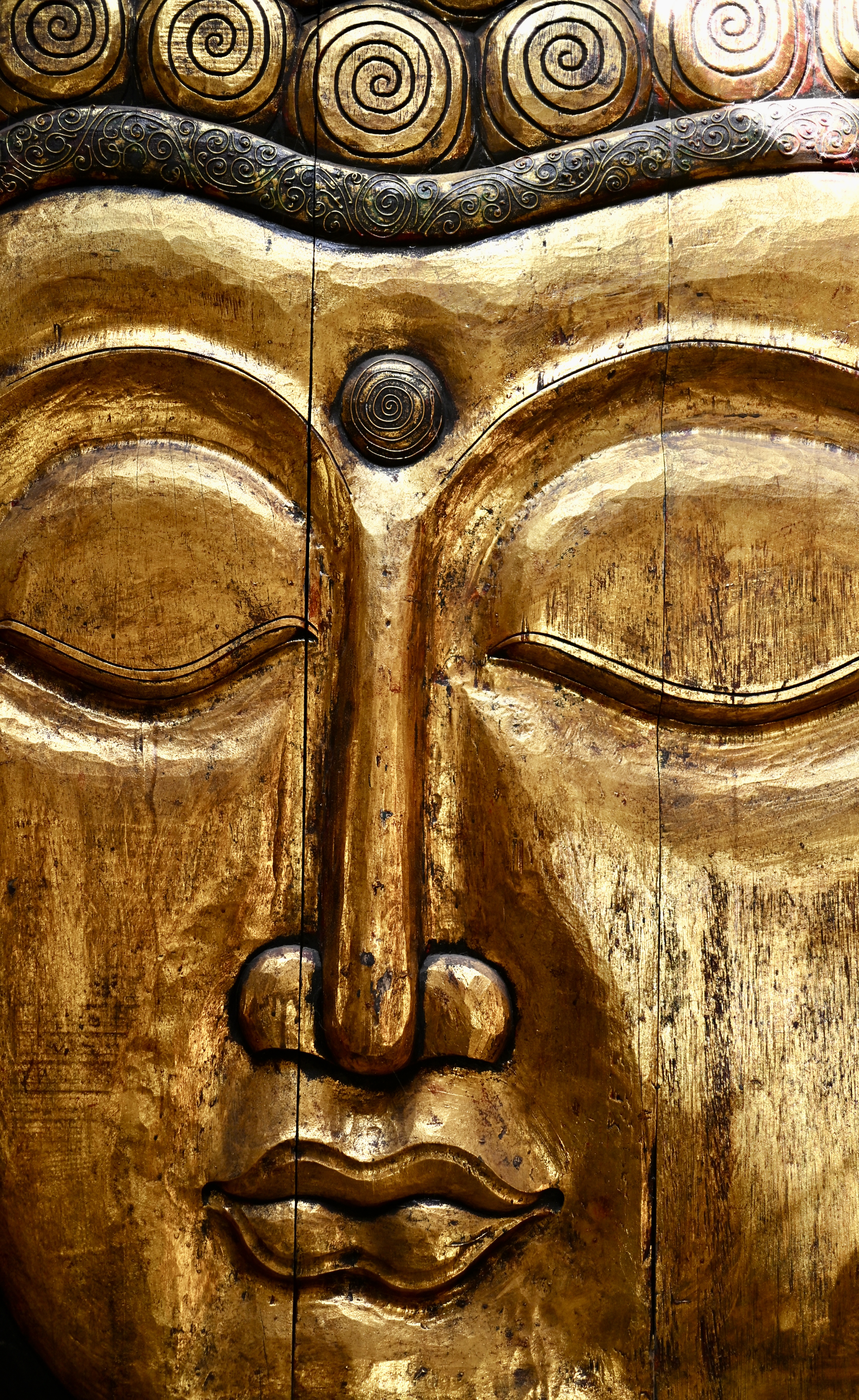 Featured image for “Adventure: Ananda Forest”