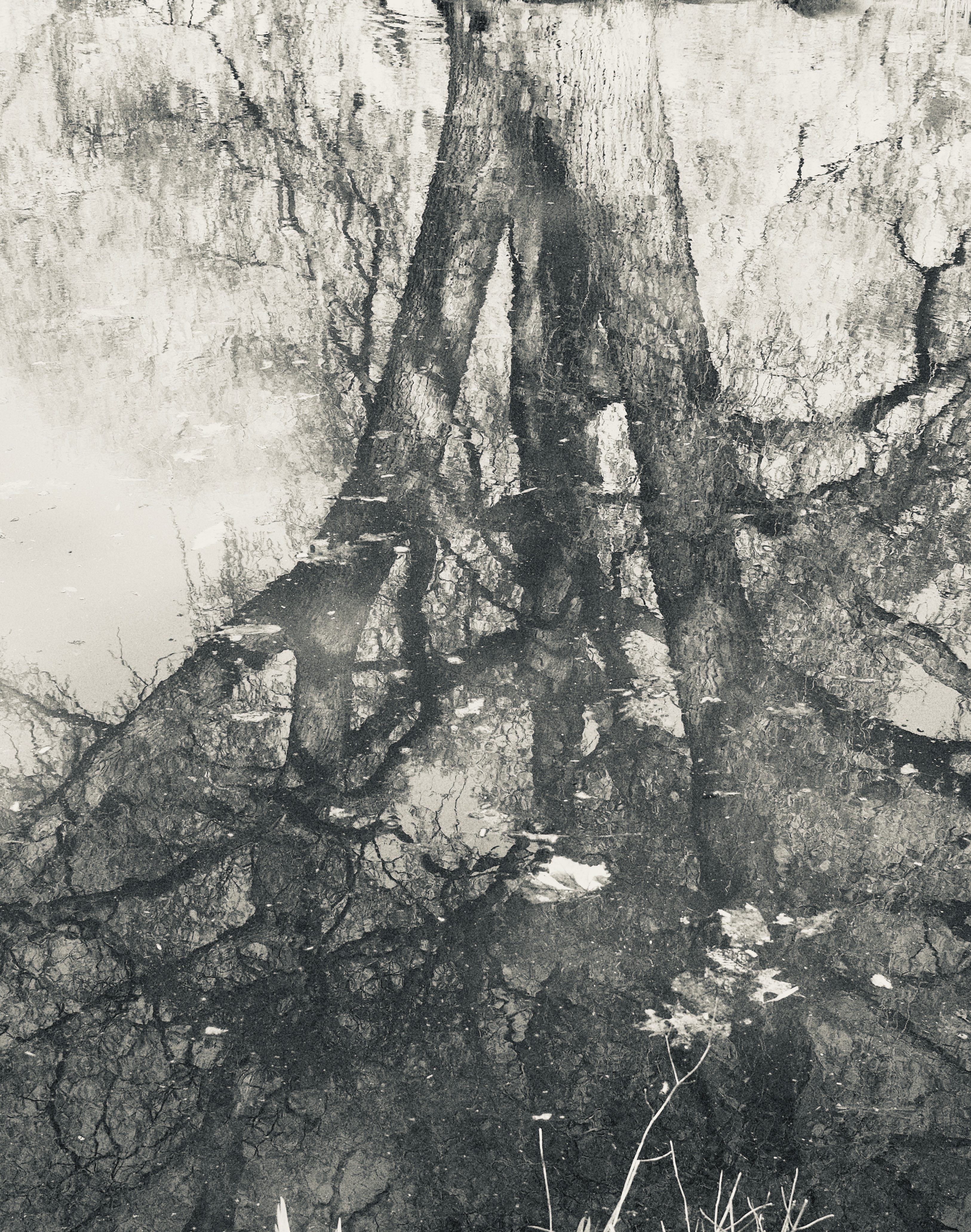 The Japan workshop is over, but we find ourselves exploring Hokkaido before moving on to another country next week. 