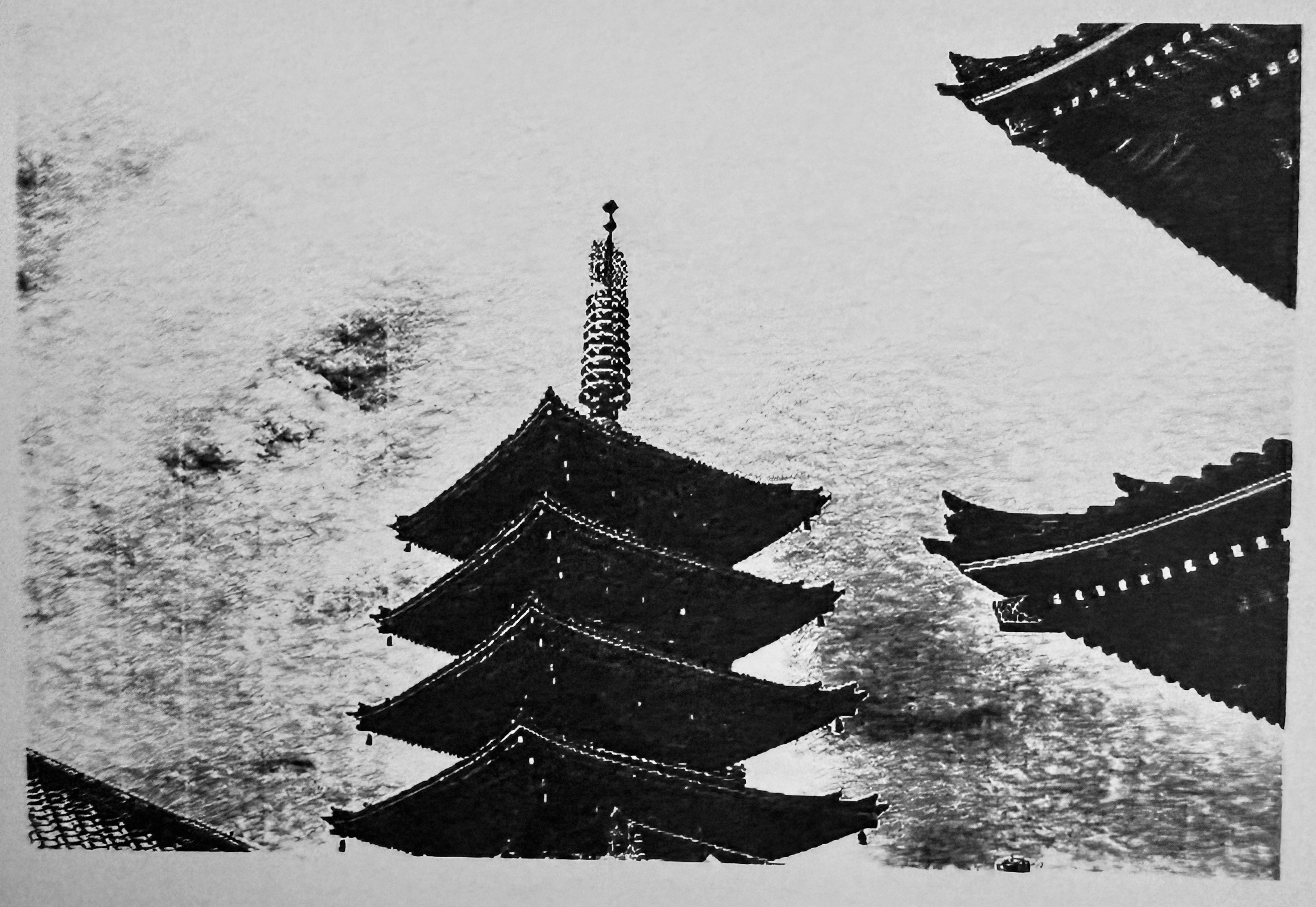 Day two of Japan scounting prior to the workshop beginning. I am refining my technique with a book in mind. 