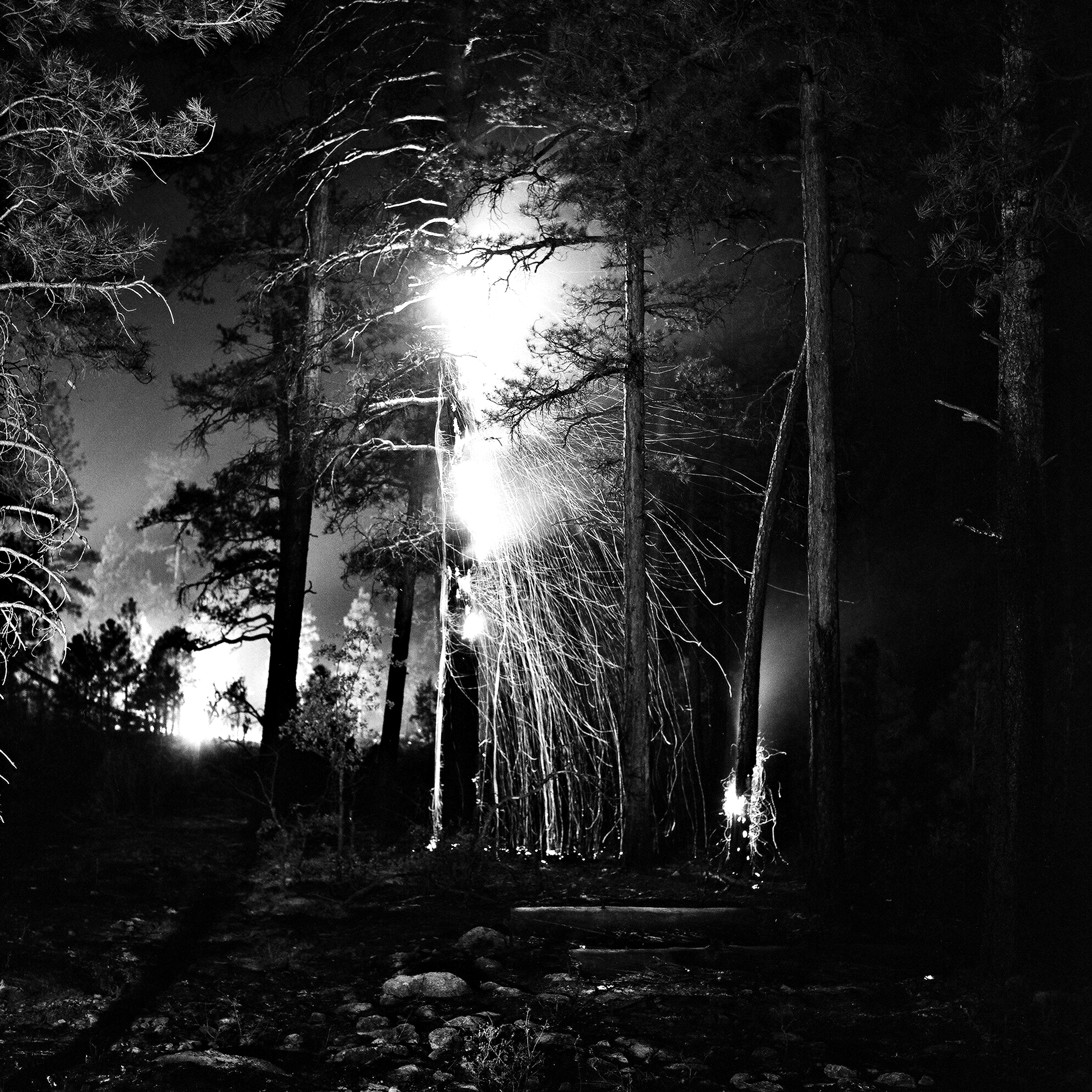 Featured image for “Adventure: Long Before the Fire”