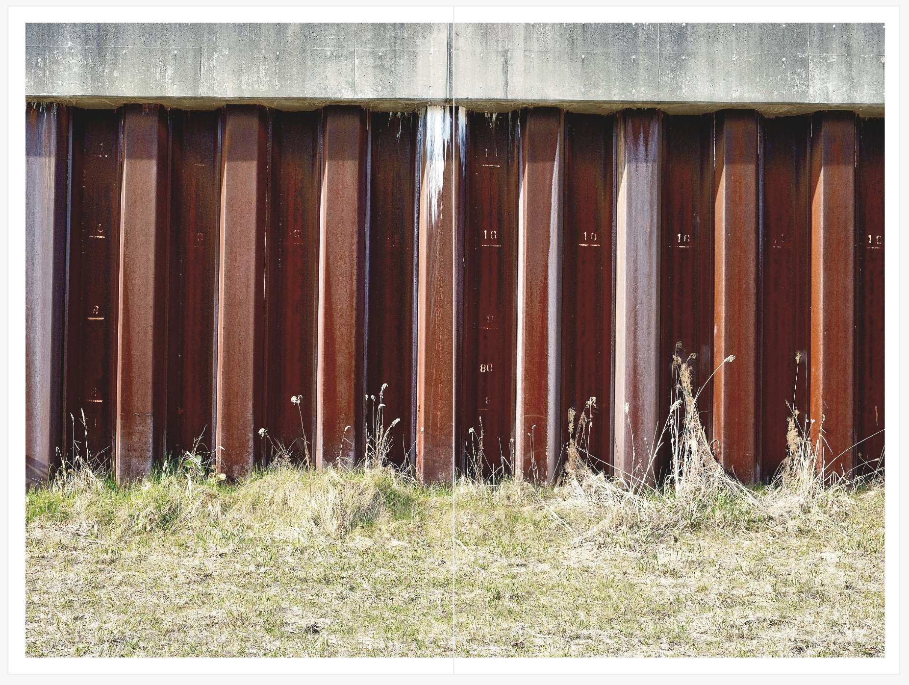 This post details my 30-Minute book from one day of shooting in Hokkaido. The 30-Minute book is a tool for learning. 