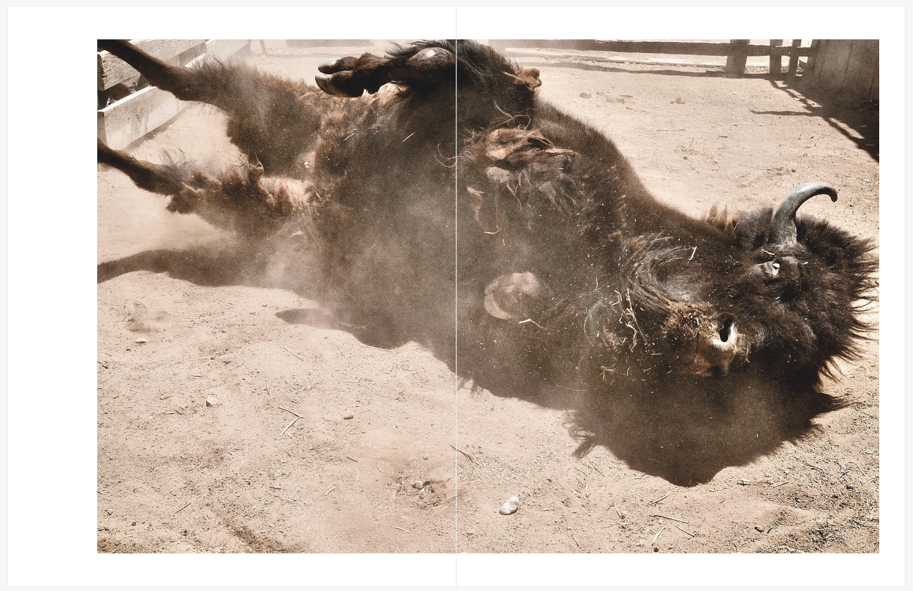 A few images from another Thirty-Minute book I produced after giving myself a brief assignment. New Mexico adventure.