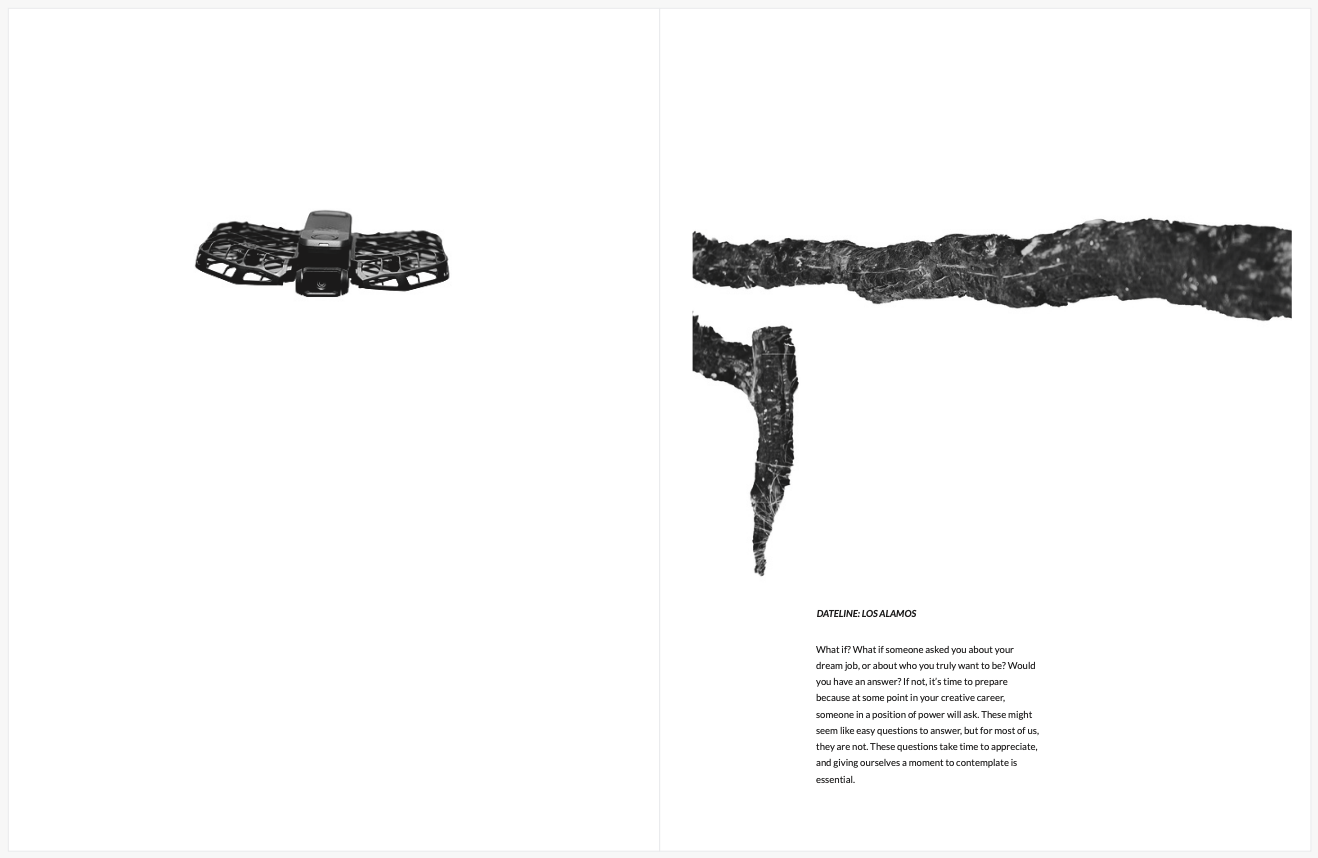 Featured image for “Creative: Los Alamos 30-Minute Book”